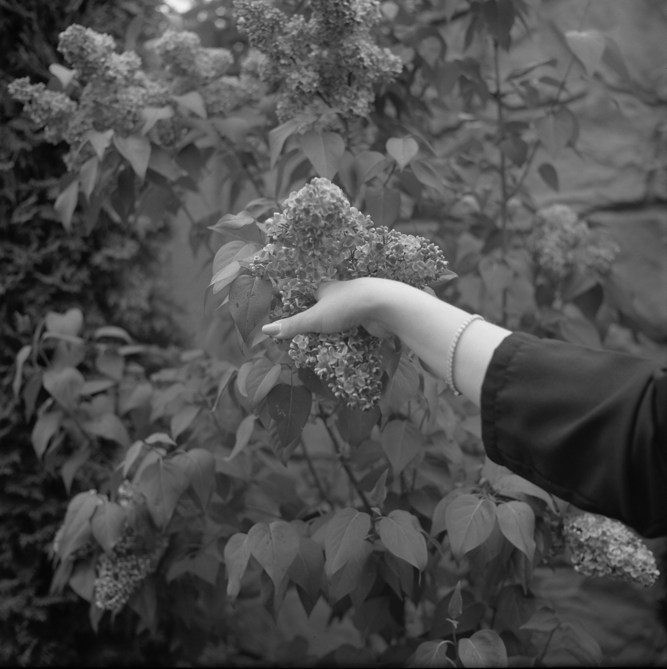 Юля Германович | Сад. Private image