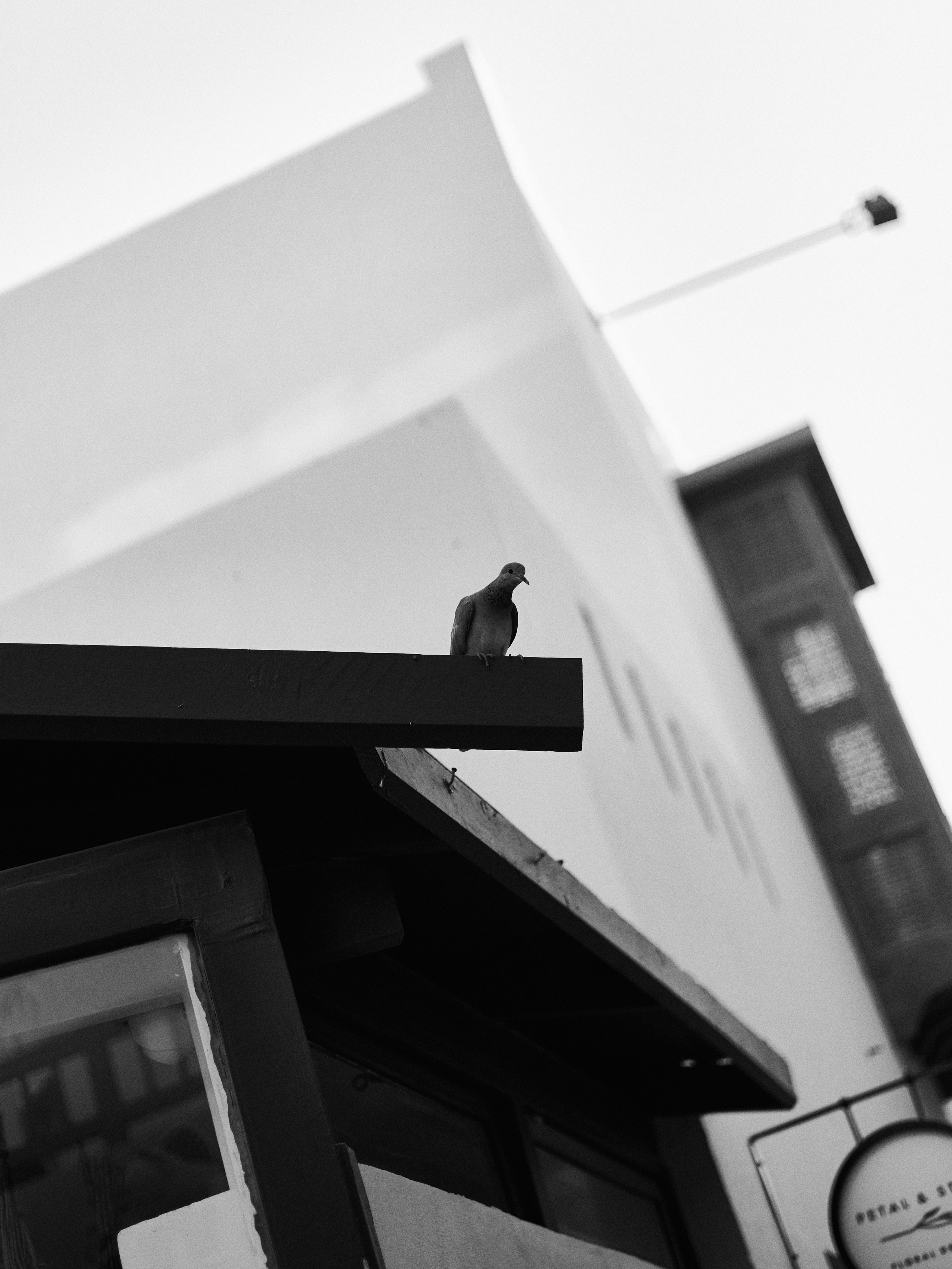 Другое 3. Jorgis Talè — photographer, kind person, teacher of arts and other mag