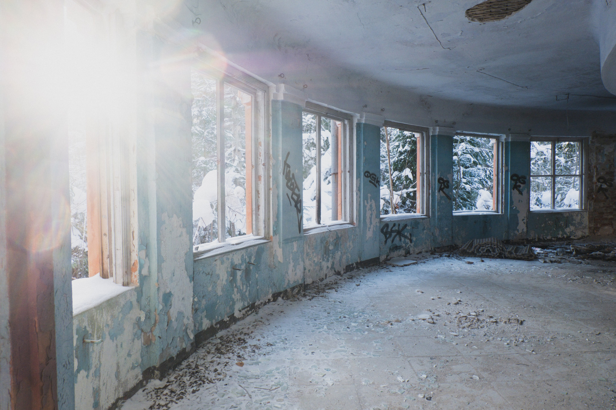 Пионерлагеря. Курочкина Софья