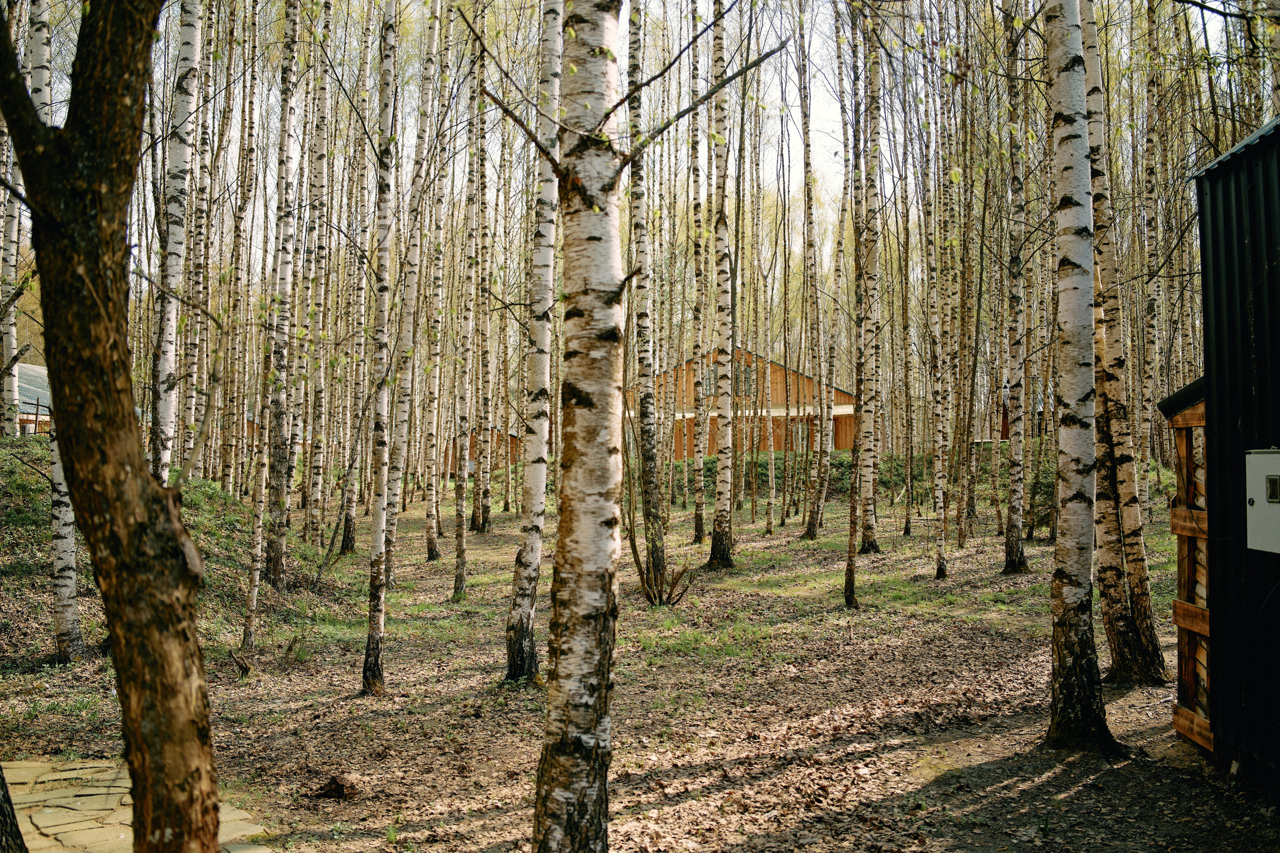 Бутик-отель Поле летом. Профессиональный Фотограф во Владимире, в Москве и в Суздале — Полина Романычева