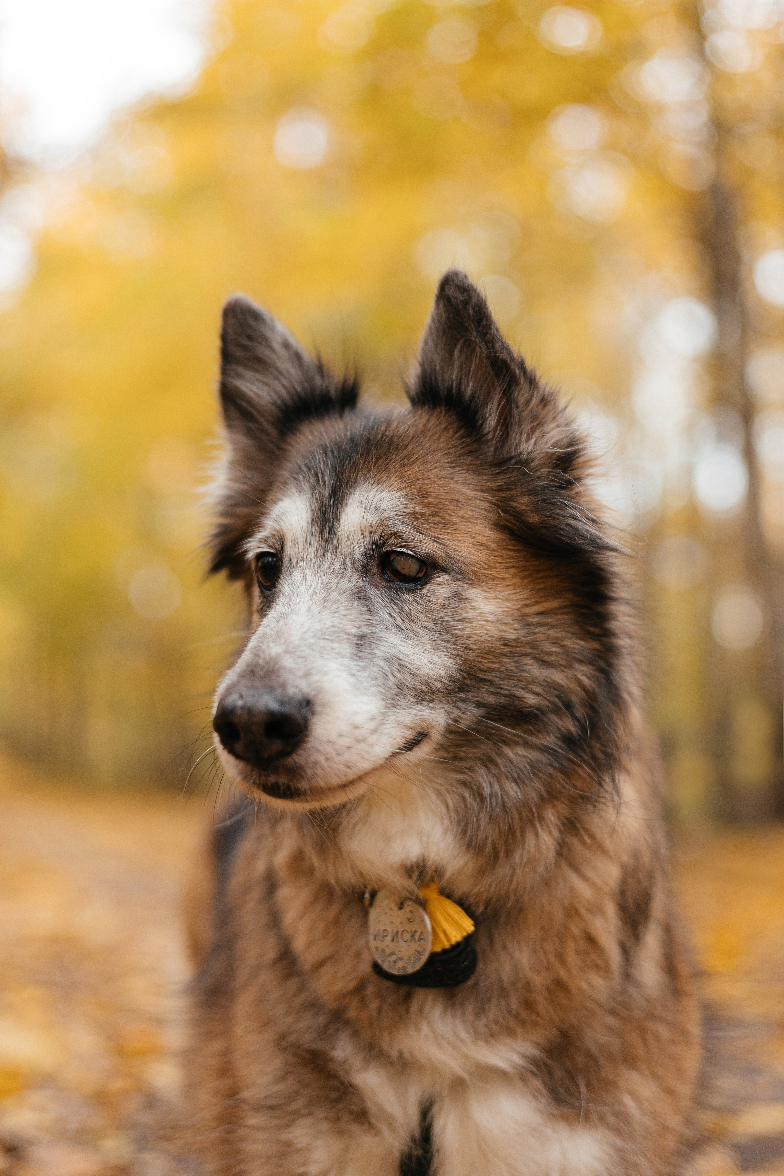 Аня и Ириска. Фотограф Анна Луценко Москва