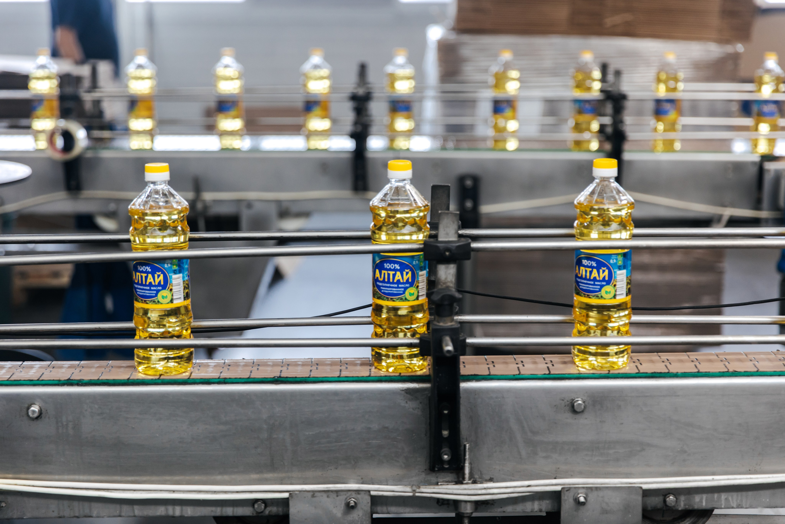 Диво Алтая. Производитель подсолнечного масла. Лихошерстов Андрей — фотограф для бизнеса из Сибири