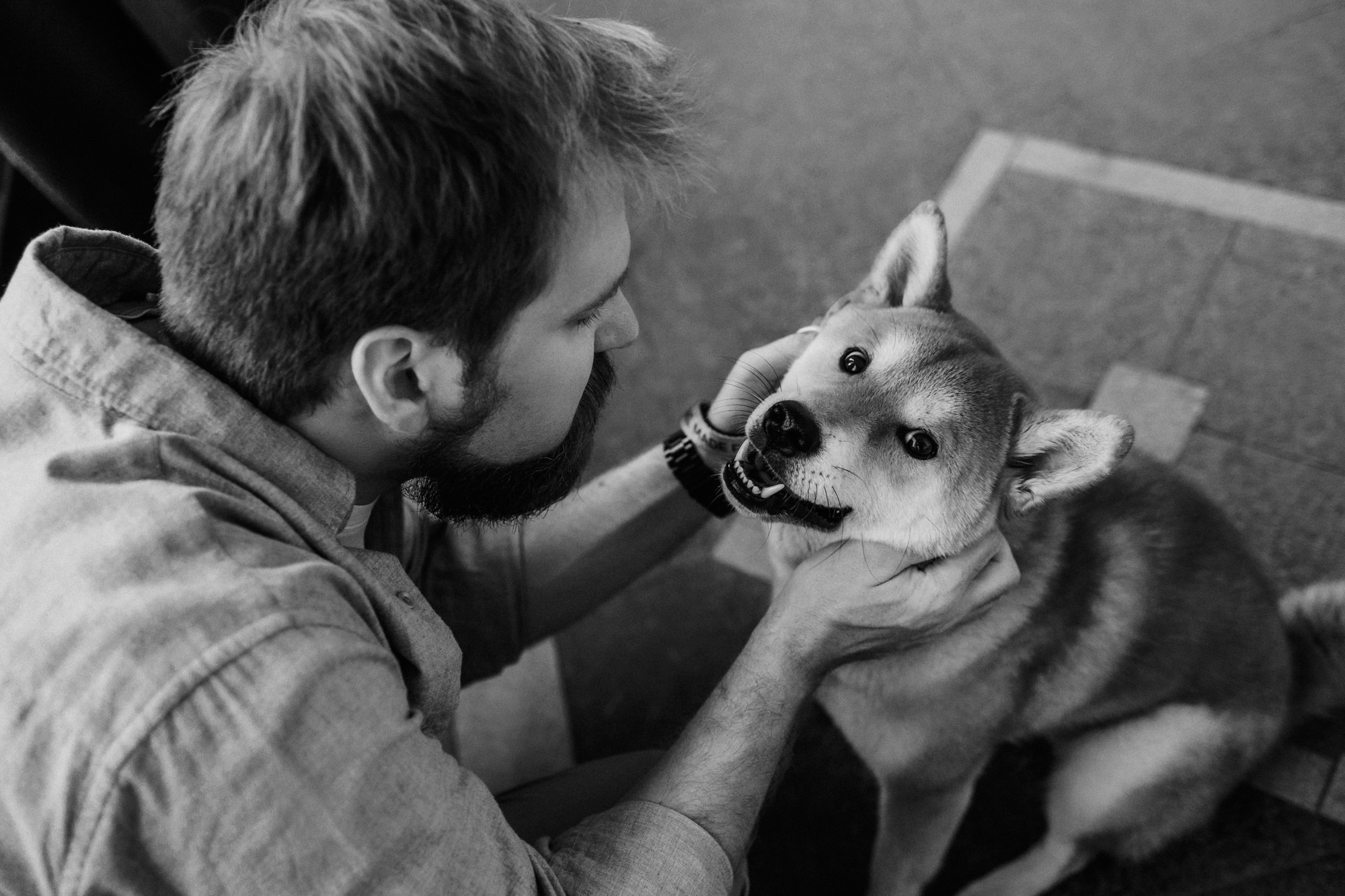 Аня, Влад и Ики. Фотограф-анималист Елена Радченко, Москва