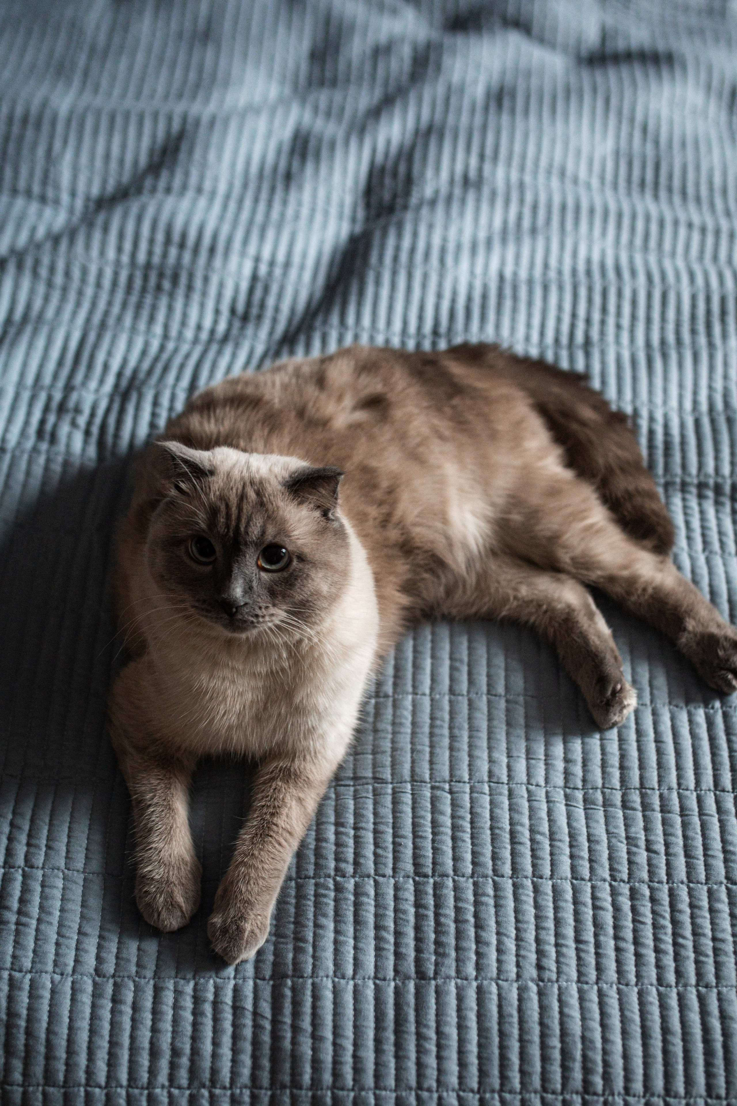 Ты-моя Вселенная🖤. Фотограф Санкт-Петербург