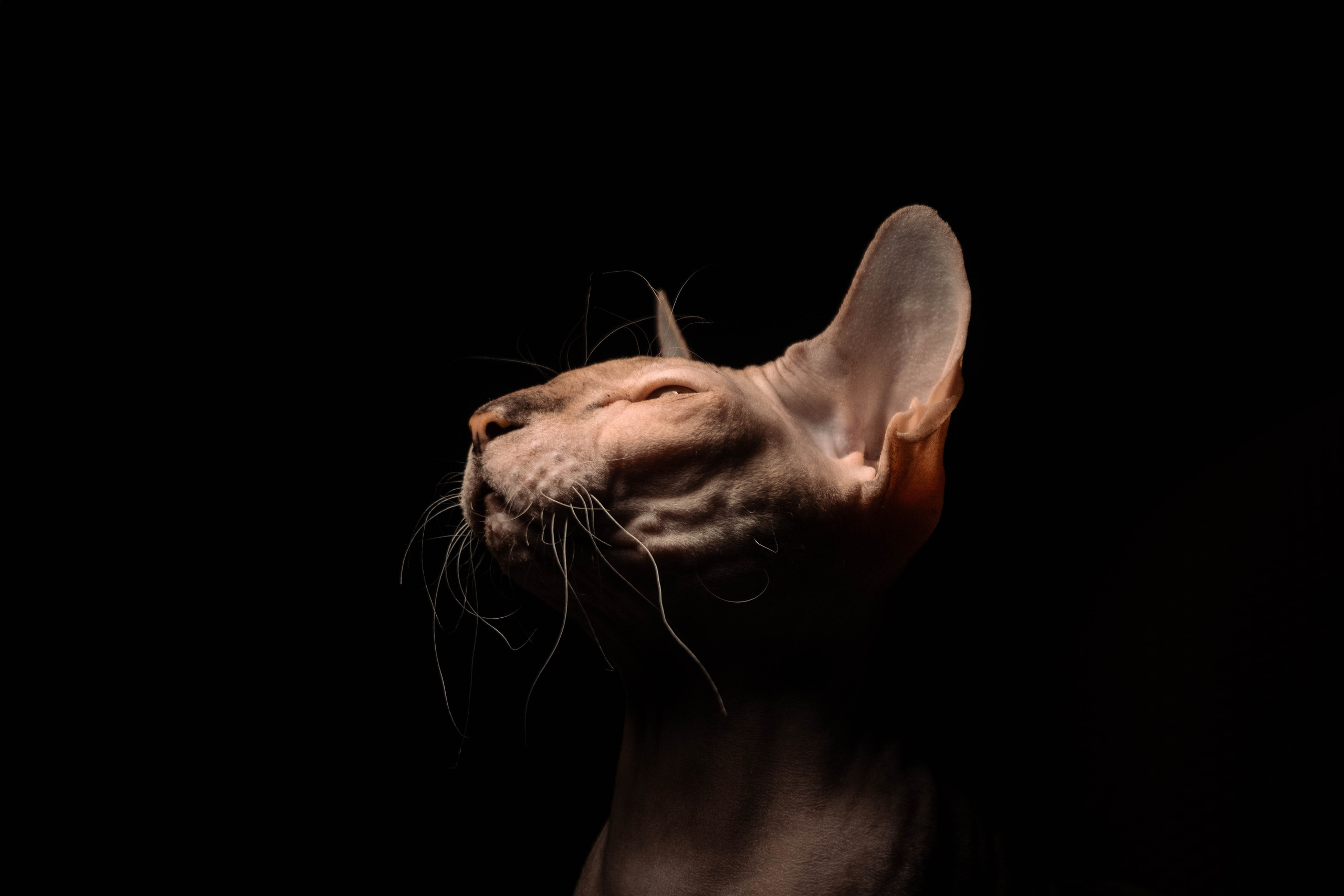 Без людей. Фотограф Крутой Максим