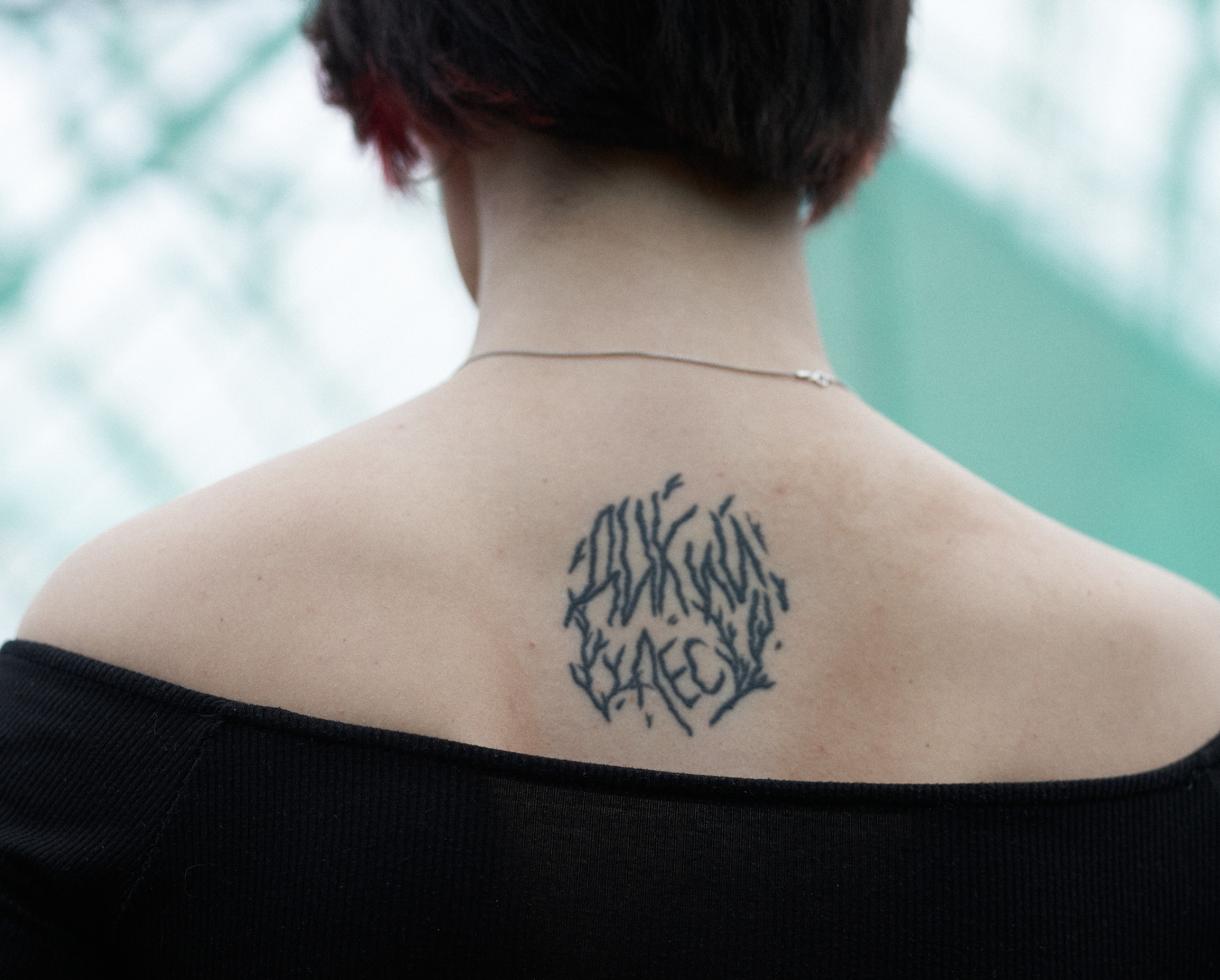 Wild Les. Александр Сазонов Красноярск