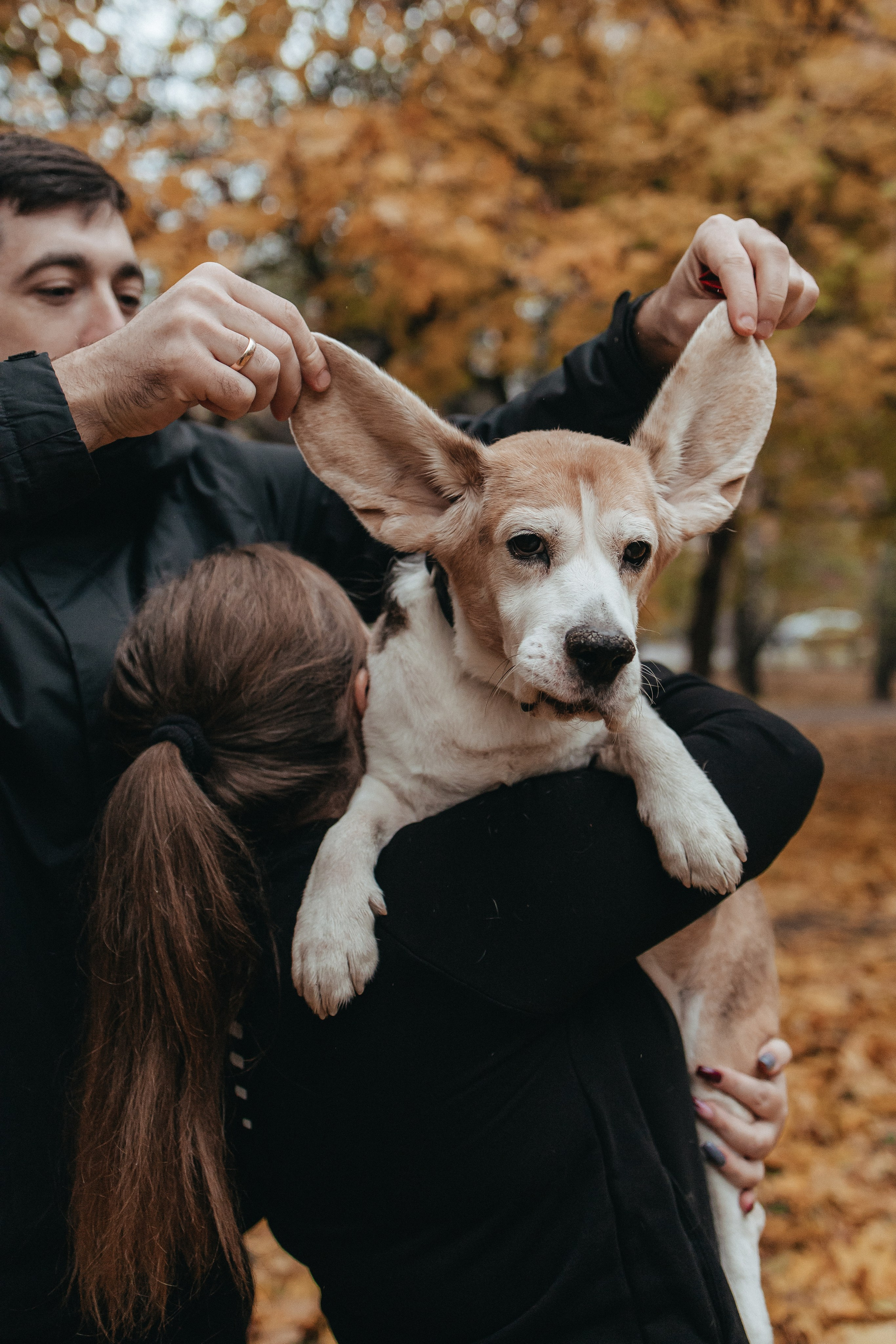 Семейная фотосессия с собакой. Семейный фотограф в Москве, Щелково, Фрязино _ Виктория Степанова