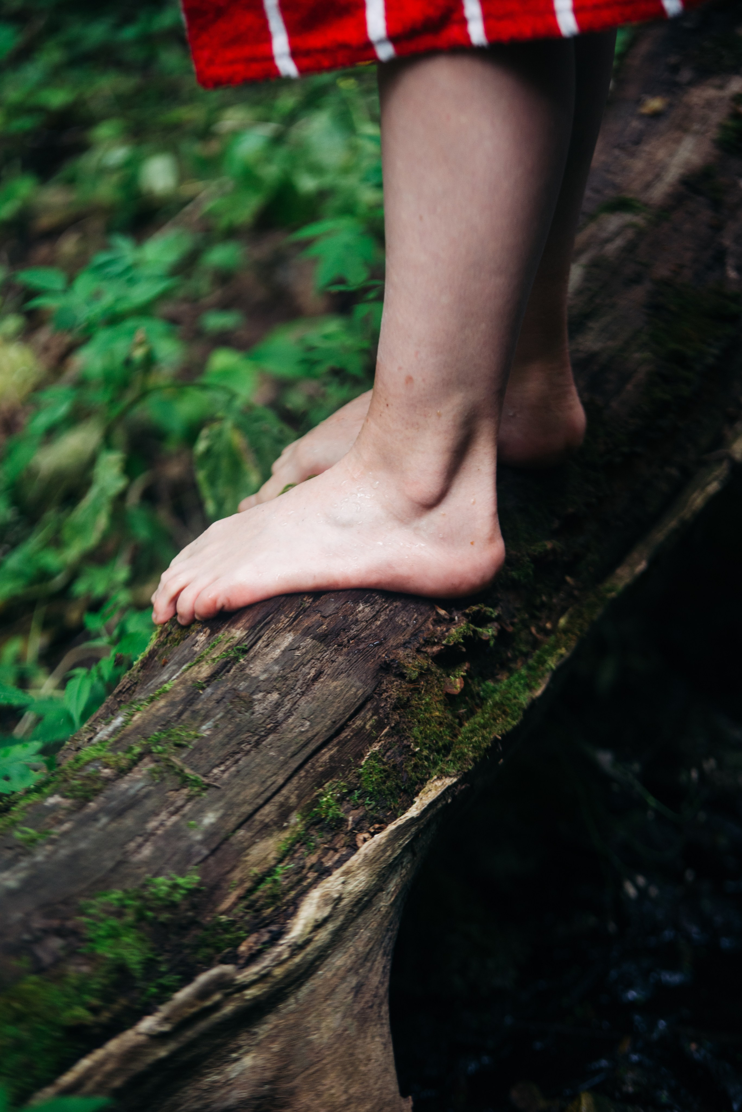 Красное на зелёном. Репортажный и портретный фотограф в Липецкой, Воронежской, Московской области Тёма Белоусов