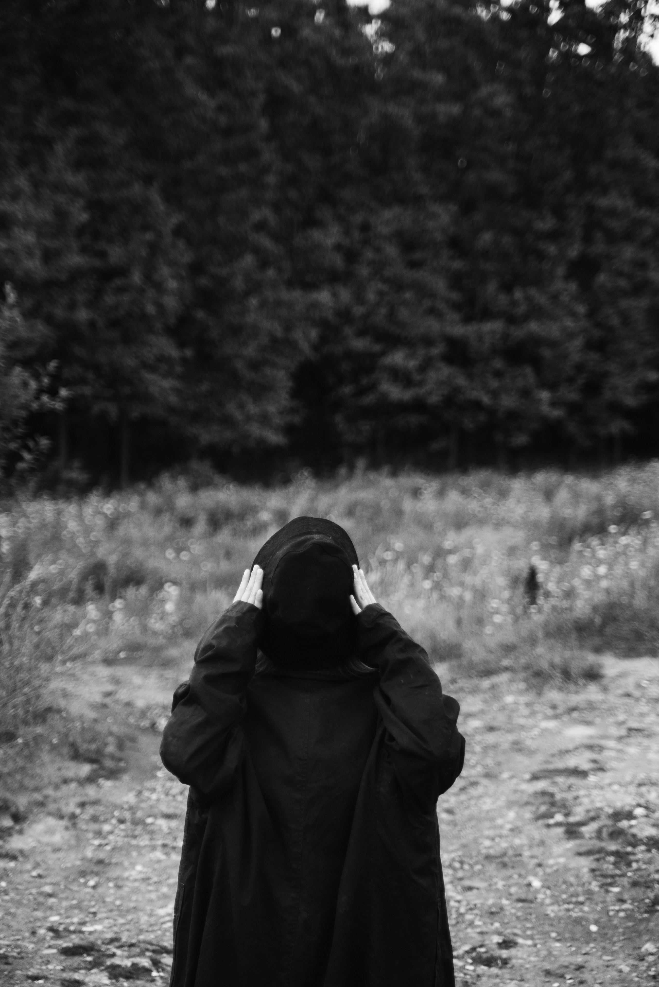 Ви. Главная