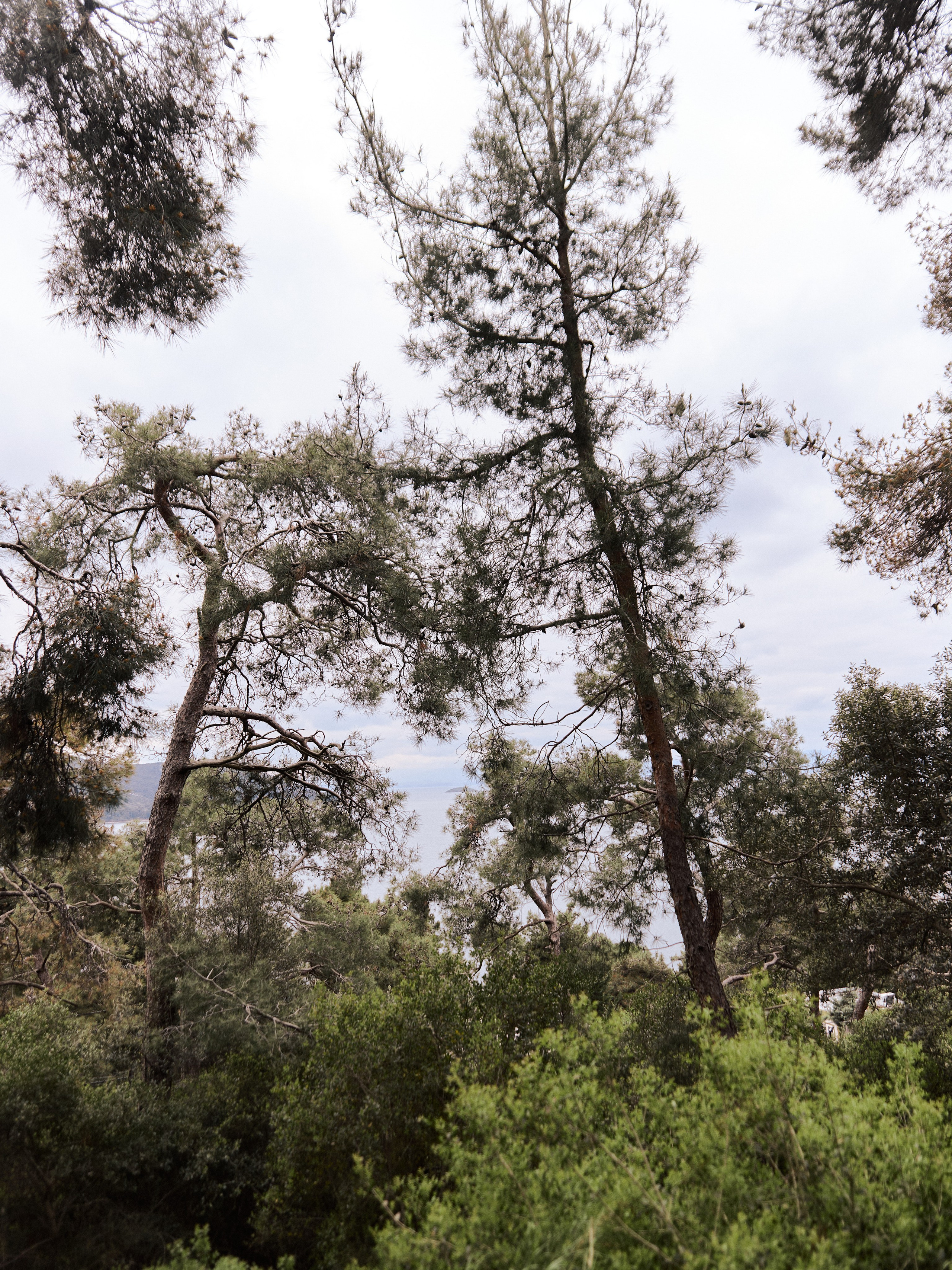 Природа. Jorgis Talè — photographer, kind person, teacher of arts and other mag