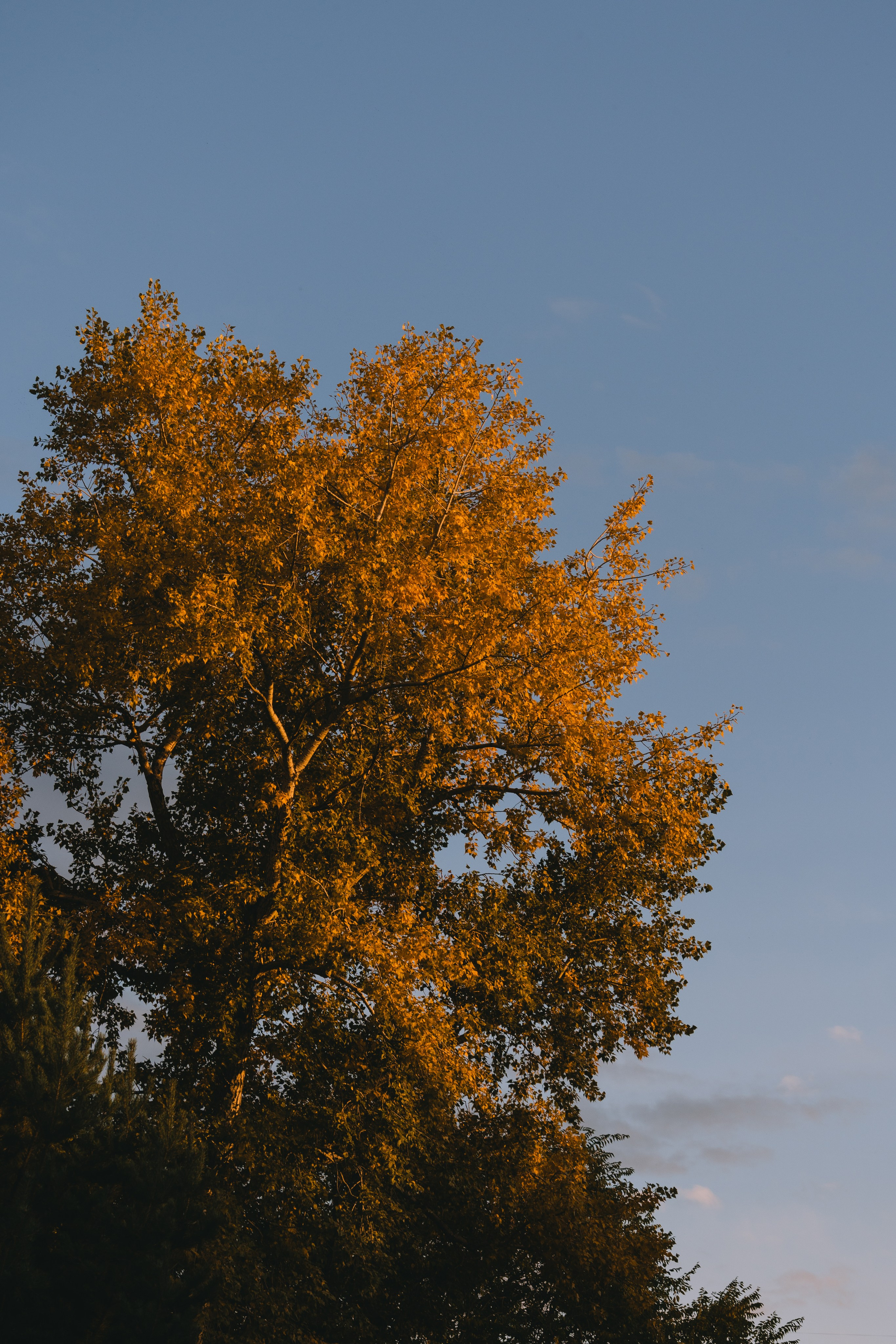 Усть-Каменогорск, Сентябрь 2024