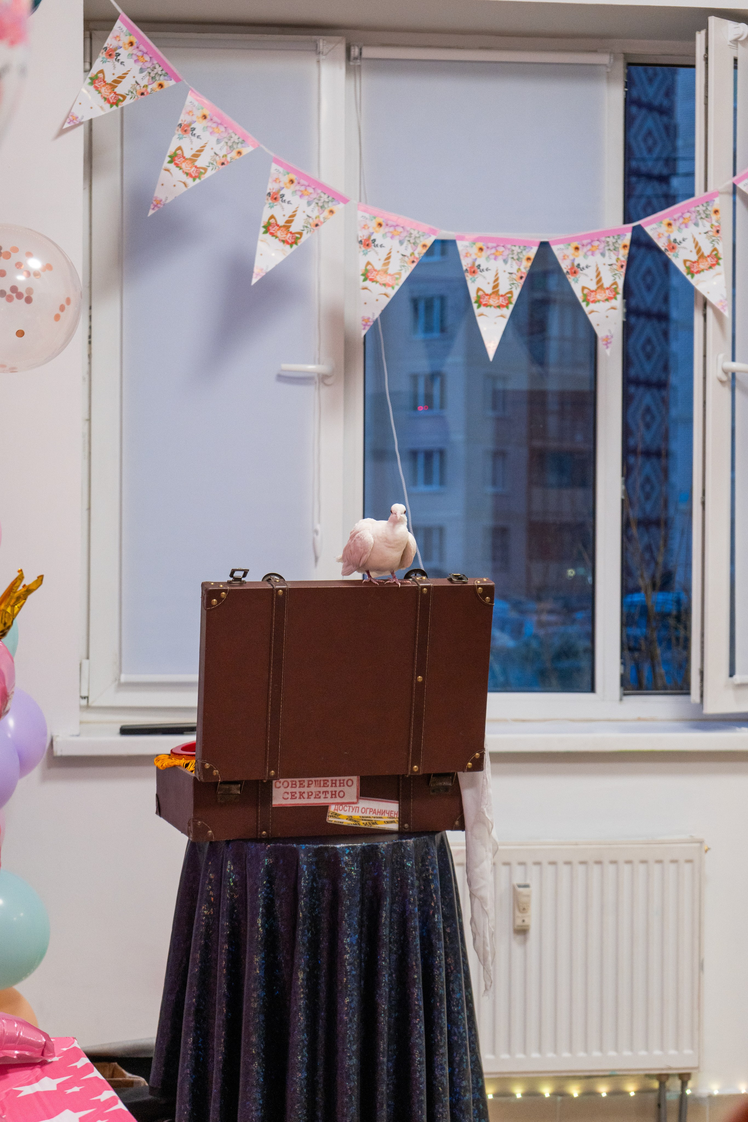 С днем рождения!. ASLAN — Индивидуальный фотограф из Питера