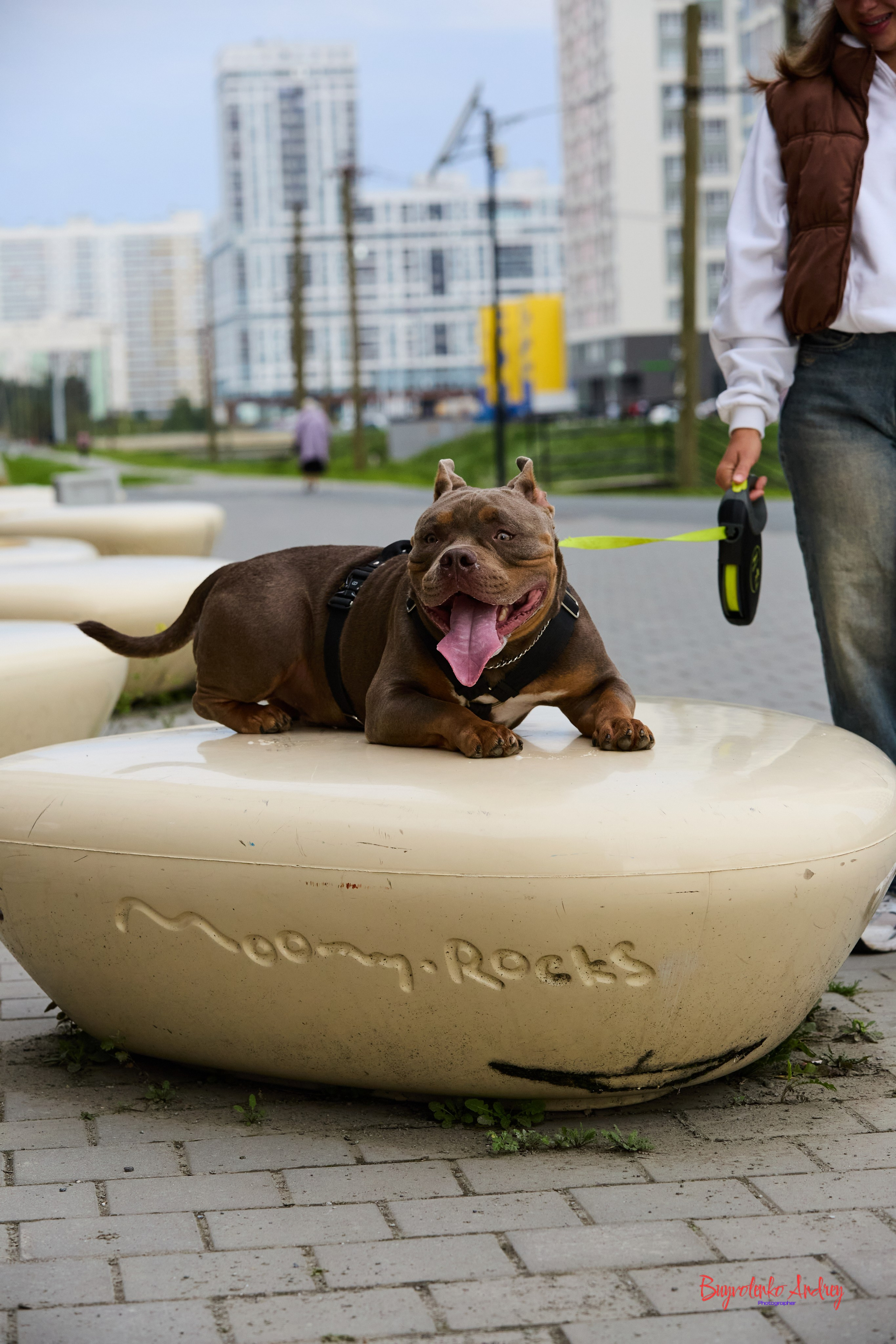 Проект фотопрогулка с хвостиком. Buyvolenko Andrey