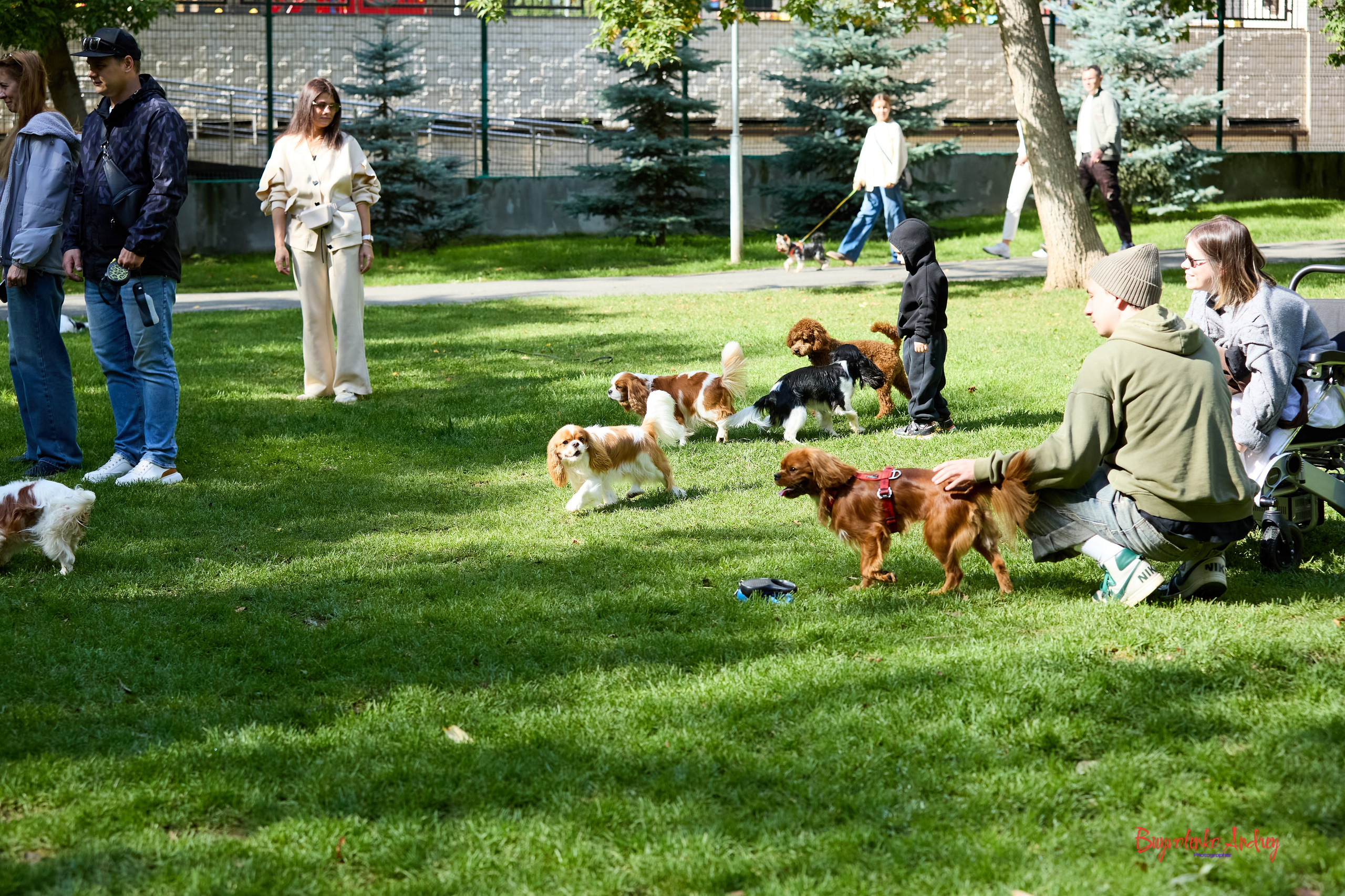 Фотопрогулка с кавалерами. Buyvolenko Andrey