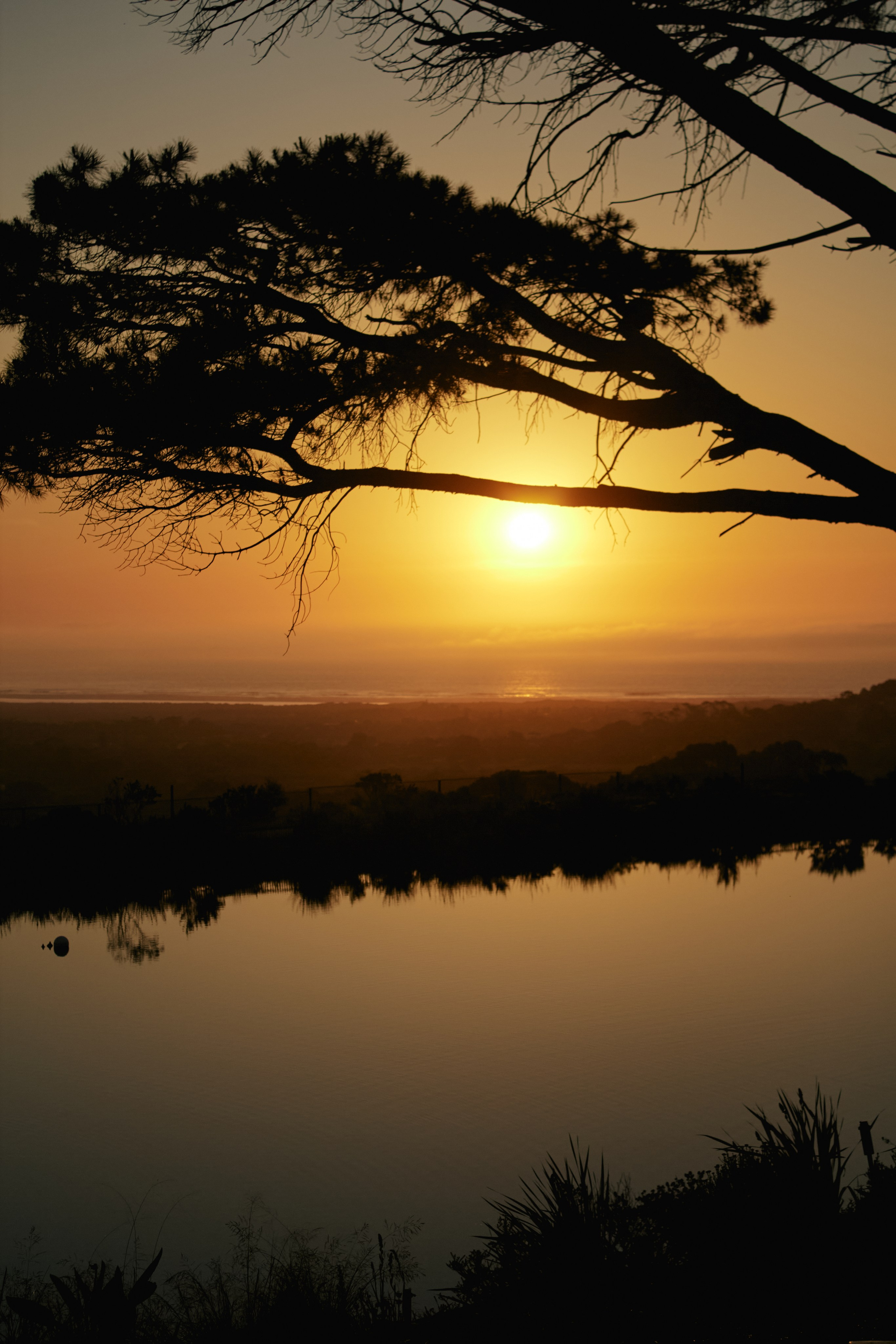 ЮАР. Профессиональный Фотограф во Владимире, в Москве и в Суздале — Полина Романычева