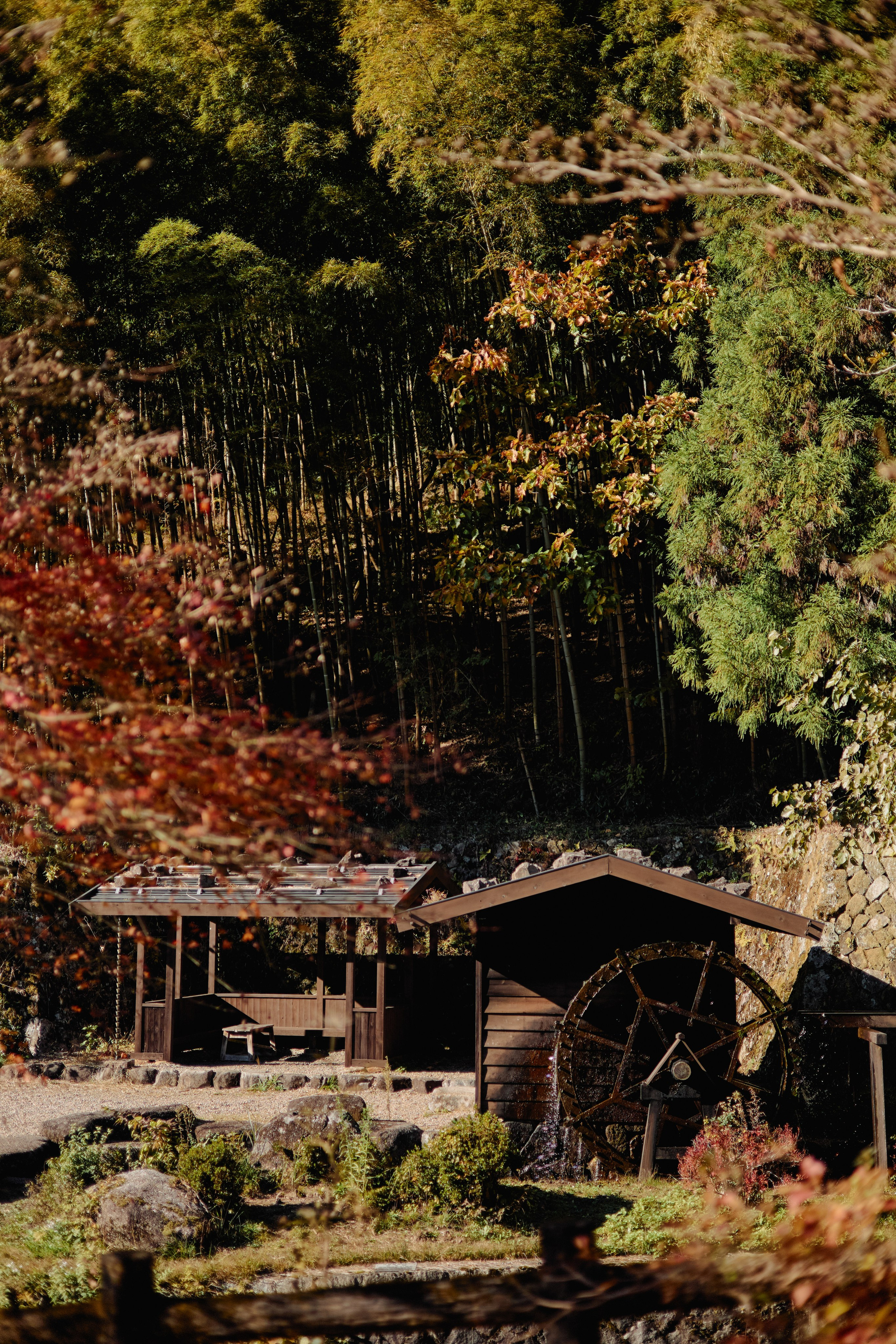 Япония. Профессиональный Фотограф во Владимире, в Москве и в Суздале — Полина Романычева