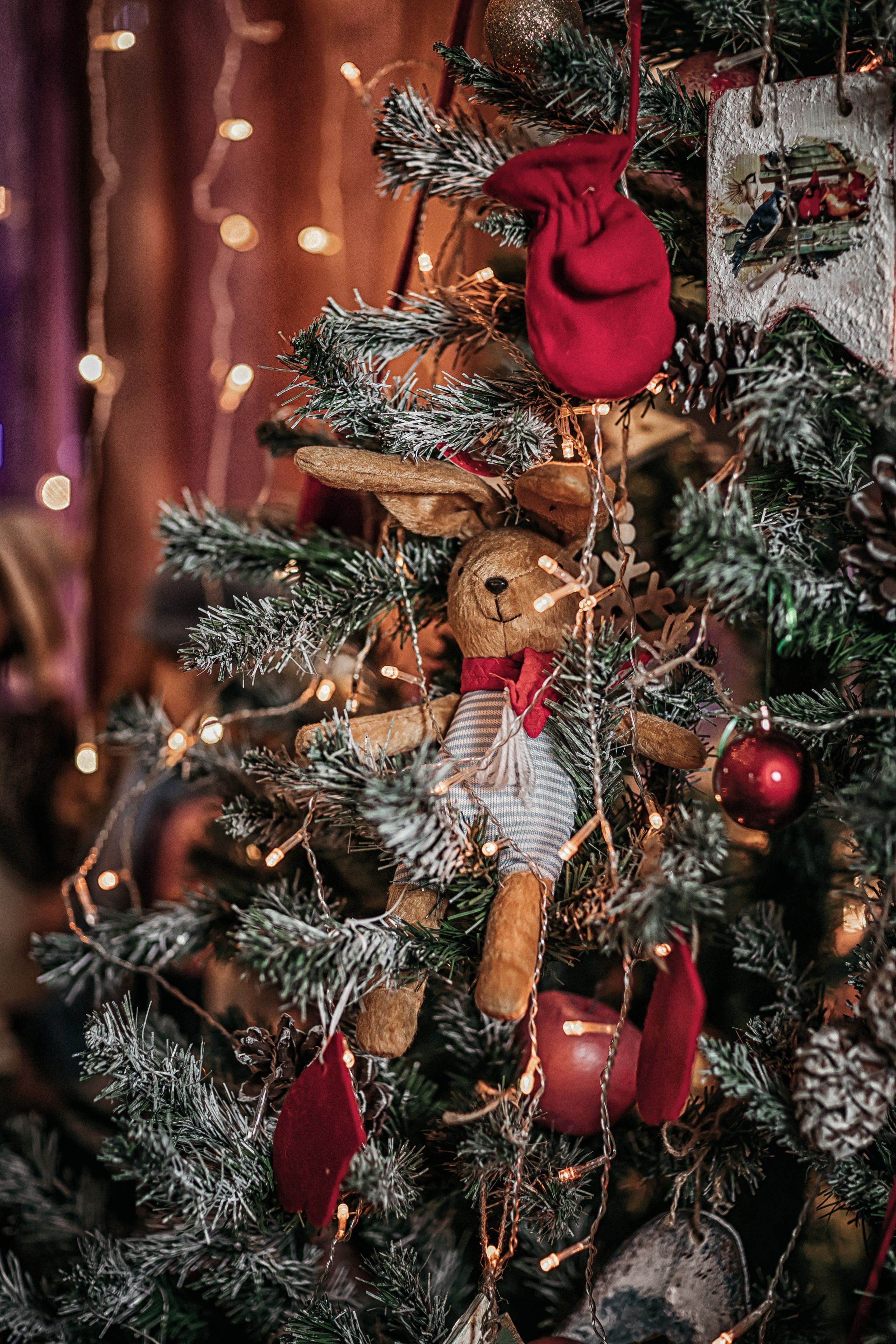 Письмо Деду Морозу. Фотограф в Канске Нина Пуряева