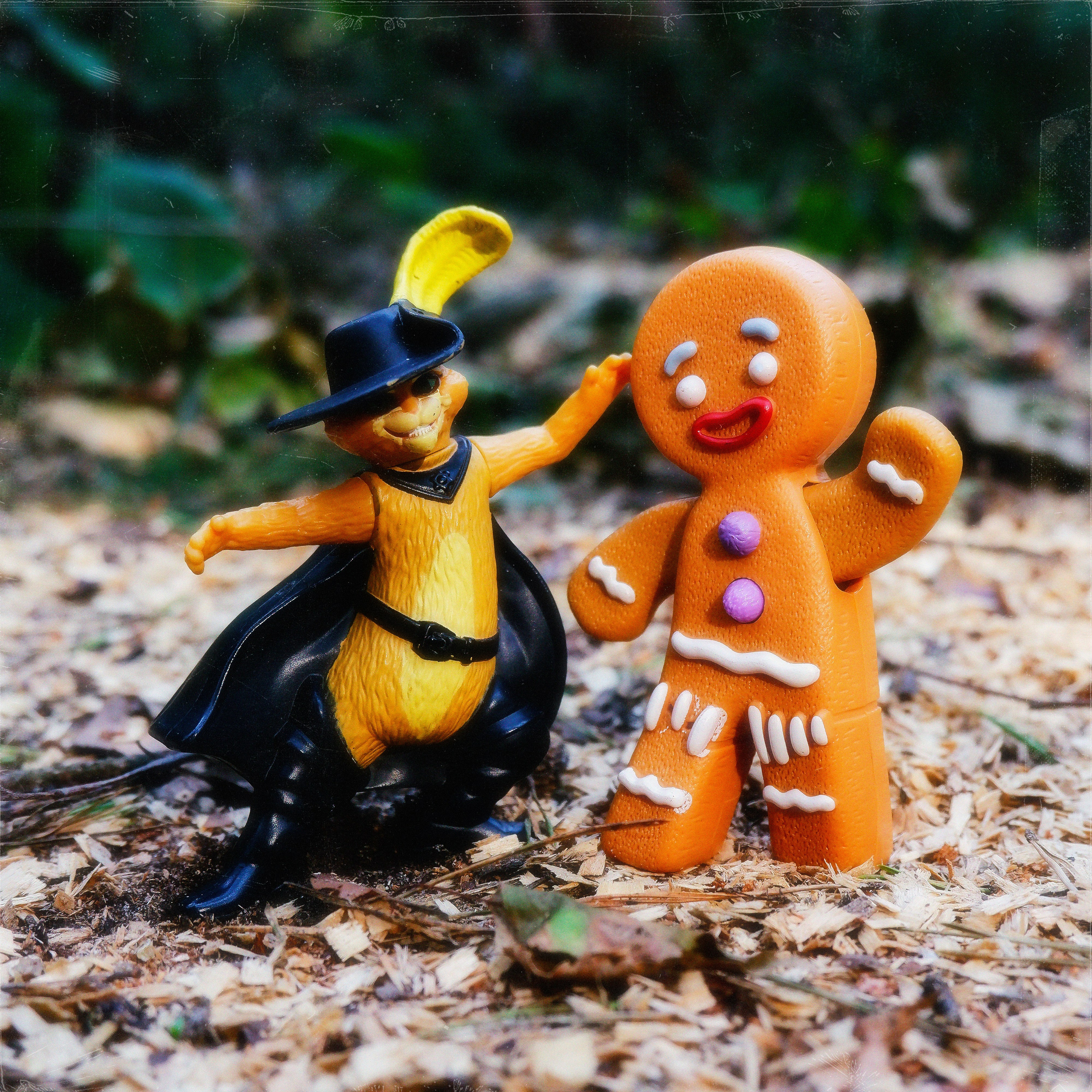 TOYS. ANNA — PHOTOGRAPHER