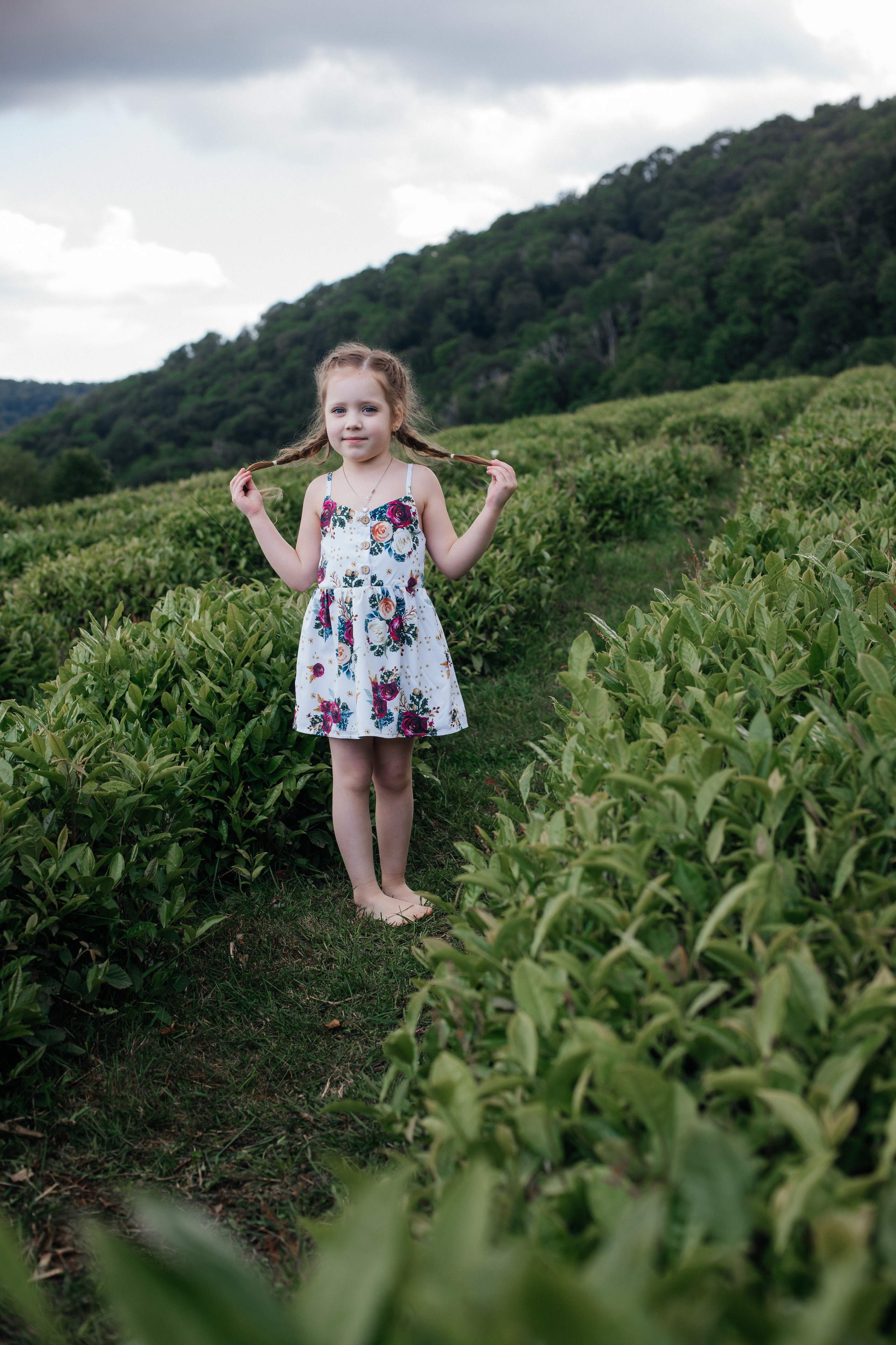 Tea plantation. Efimova Model Agency