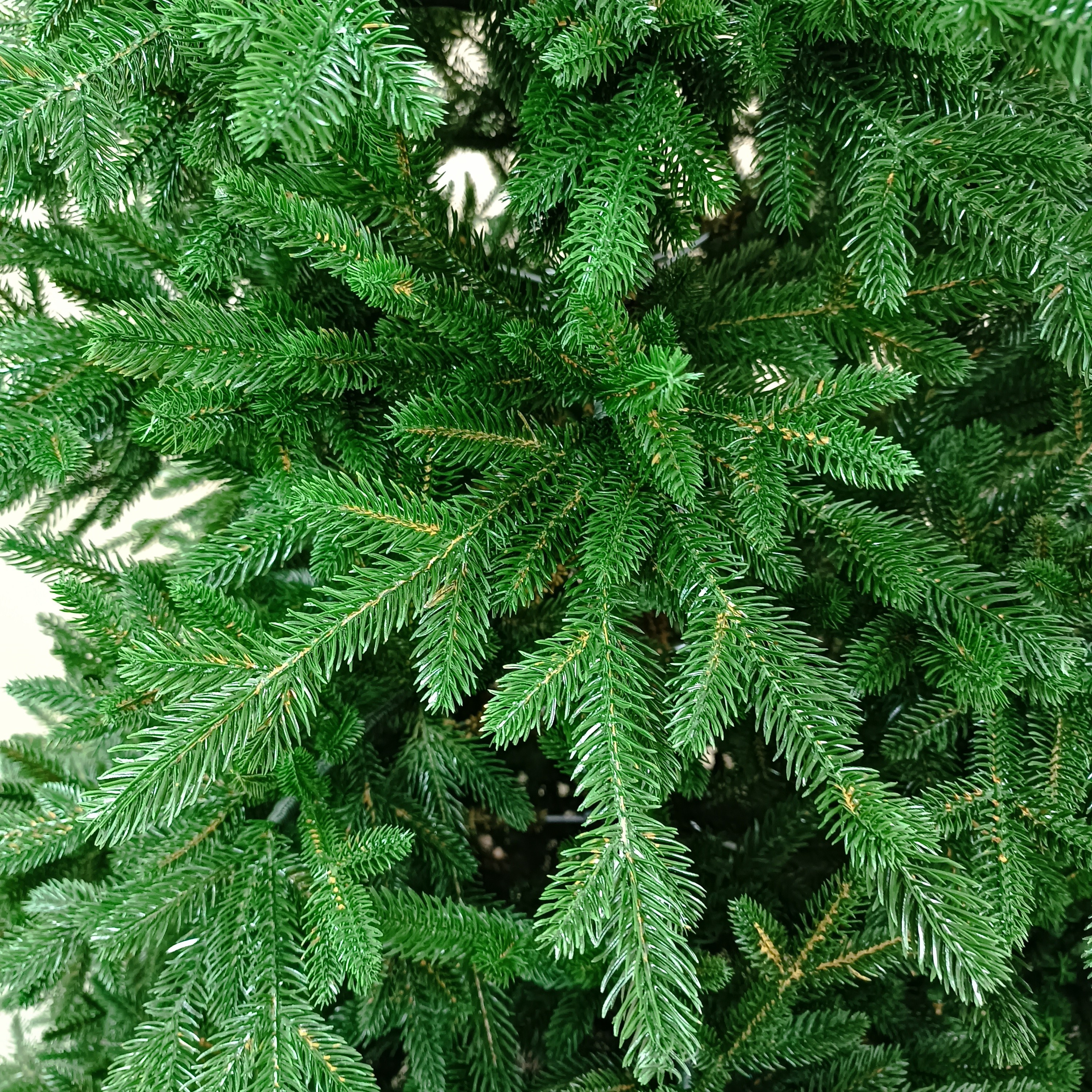 ВЕРСАЛЬ премиум. Elki_grodno