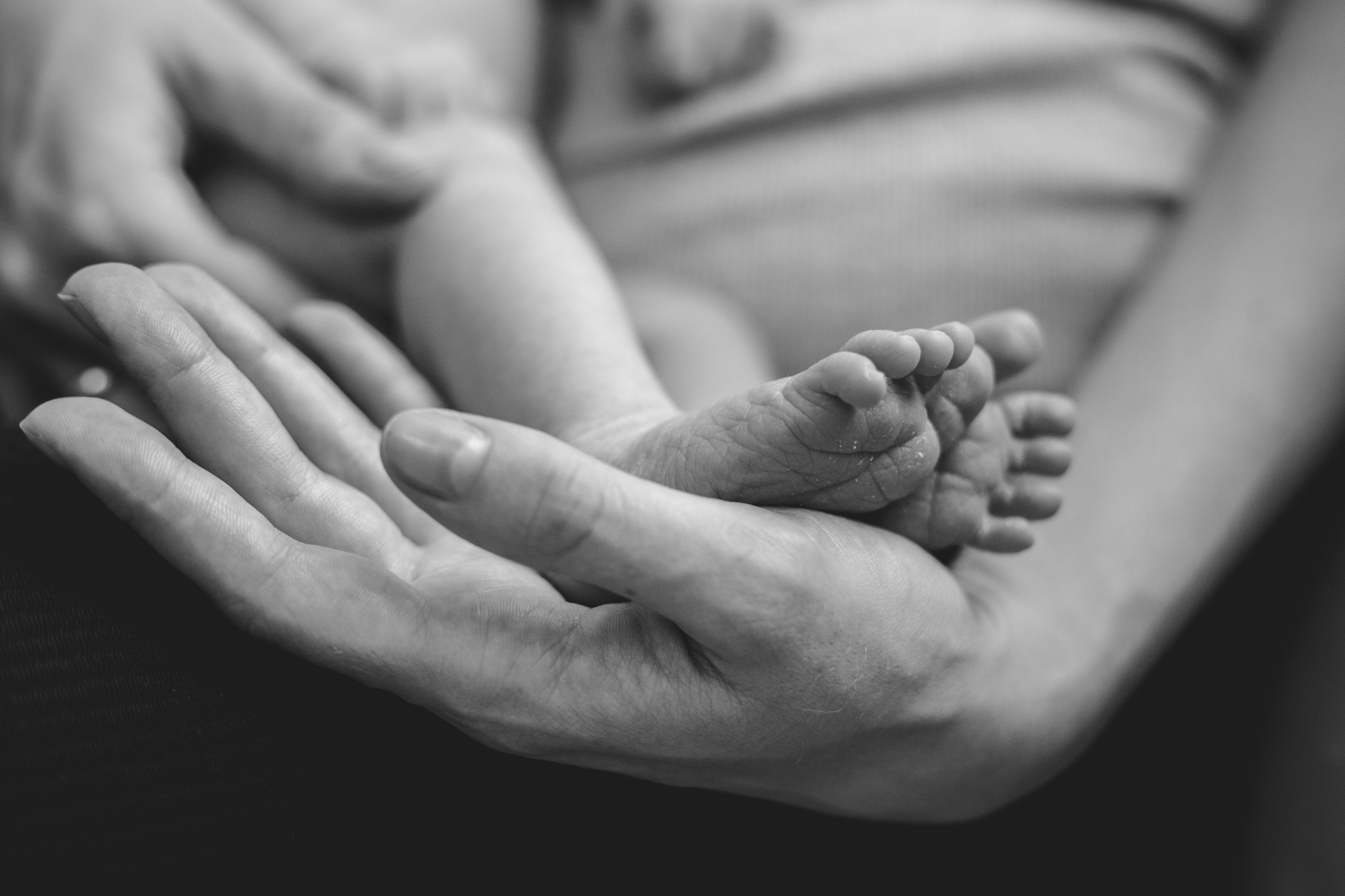 Ксения 6 дней. Семейный фотограф г. Димировград Андросова Екатерина