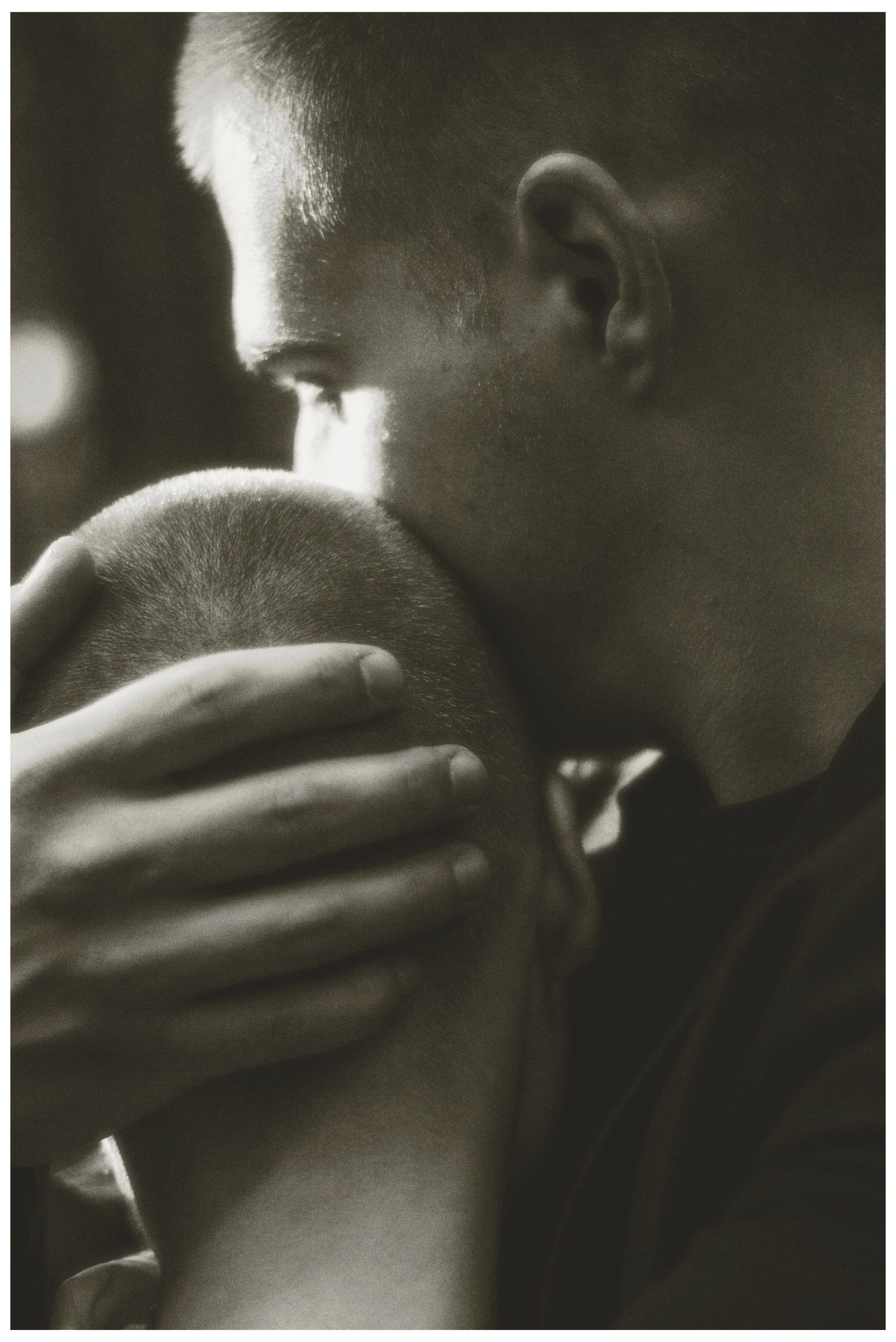 Pigeons`. Художественный деятель | фотограф