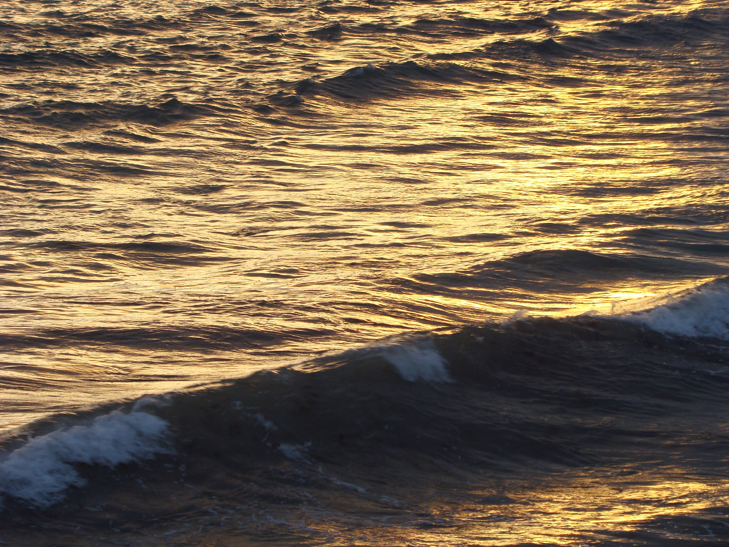 Кабардинка (фото Зевиных) 25.06-24.07.2008. Семейный, Свадебный фотограф СПБ Питер— Романова Екатерина