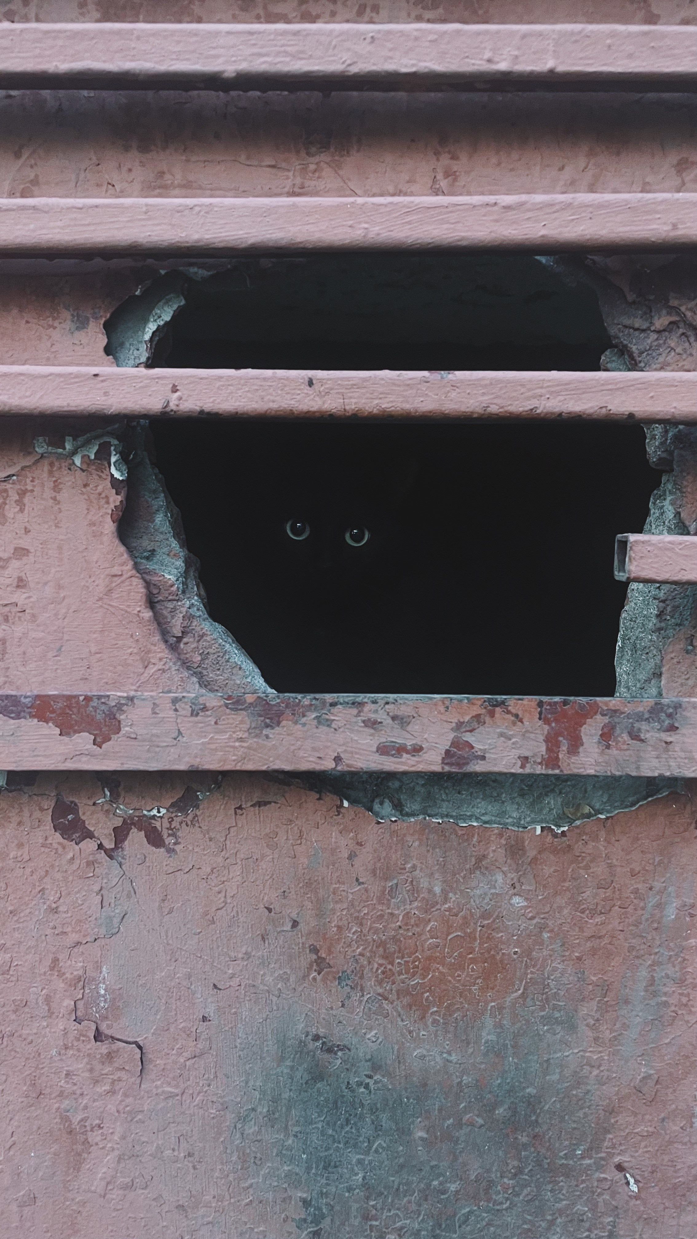 Автор: Света Некрасова