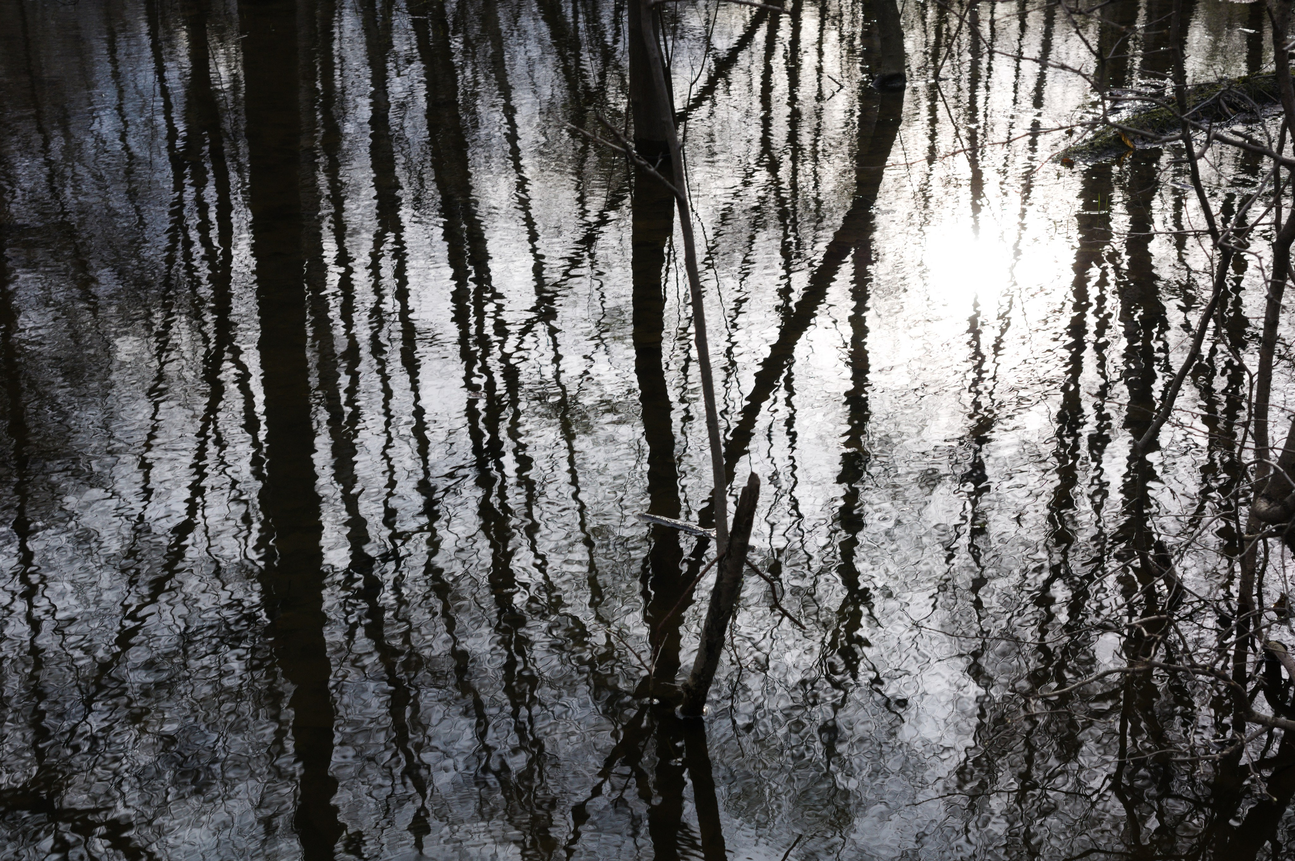 Автор: Светлана Колганова