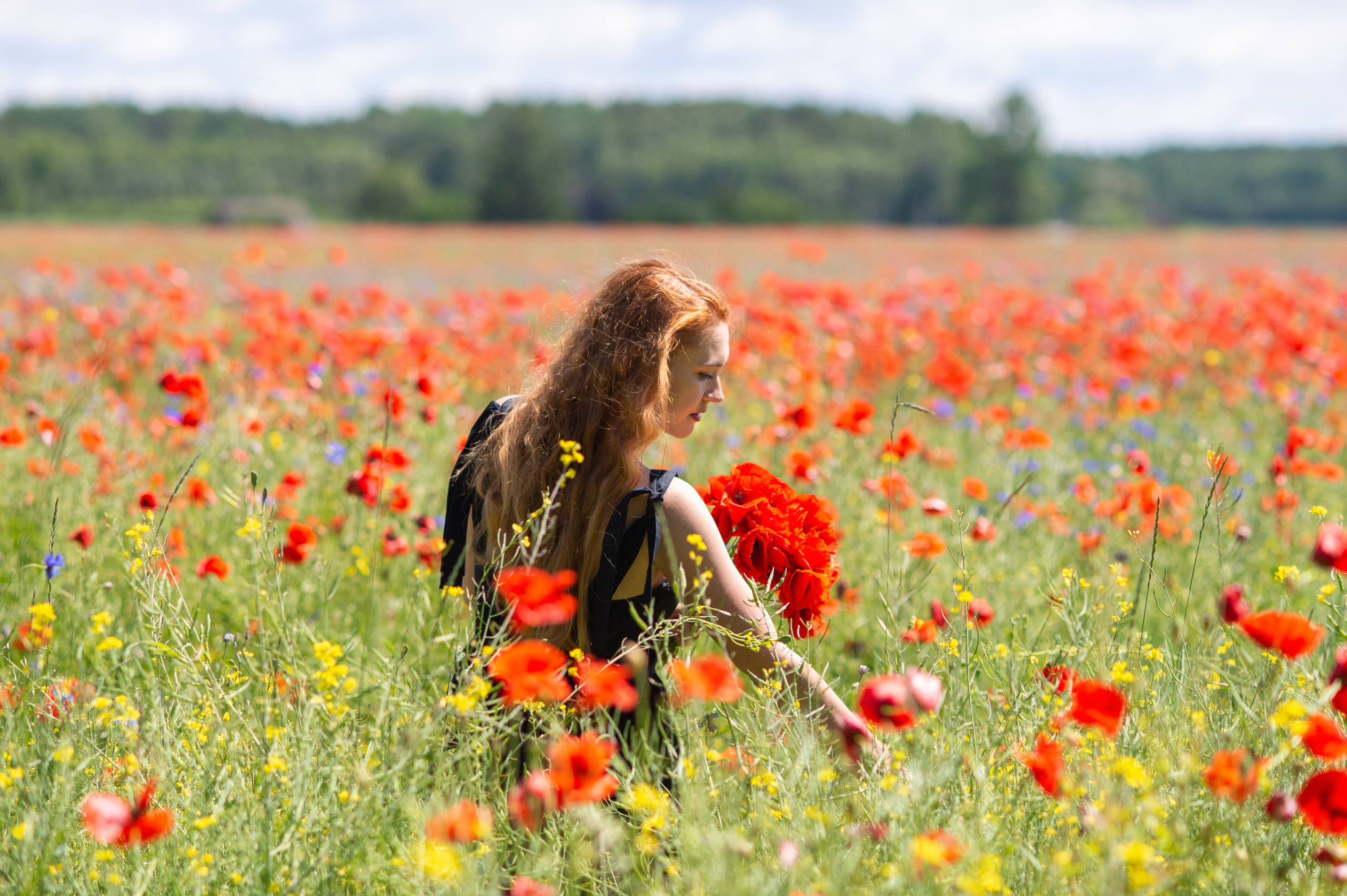 Маковое поле. Свадебный и семейный фотограф в Минске Александра Божок