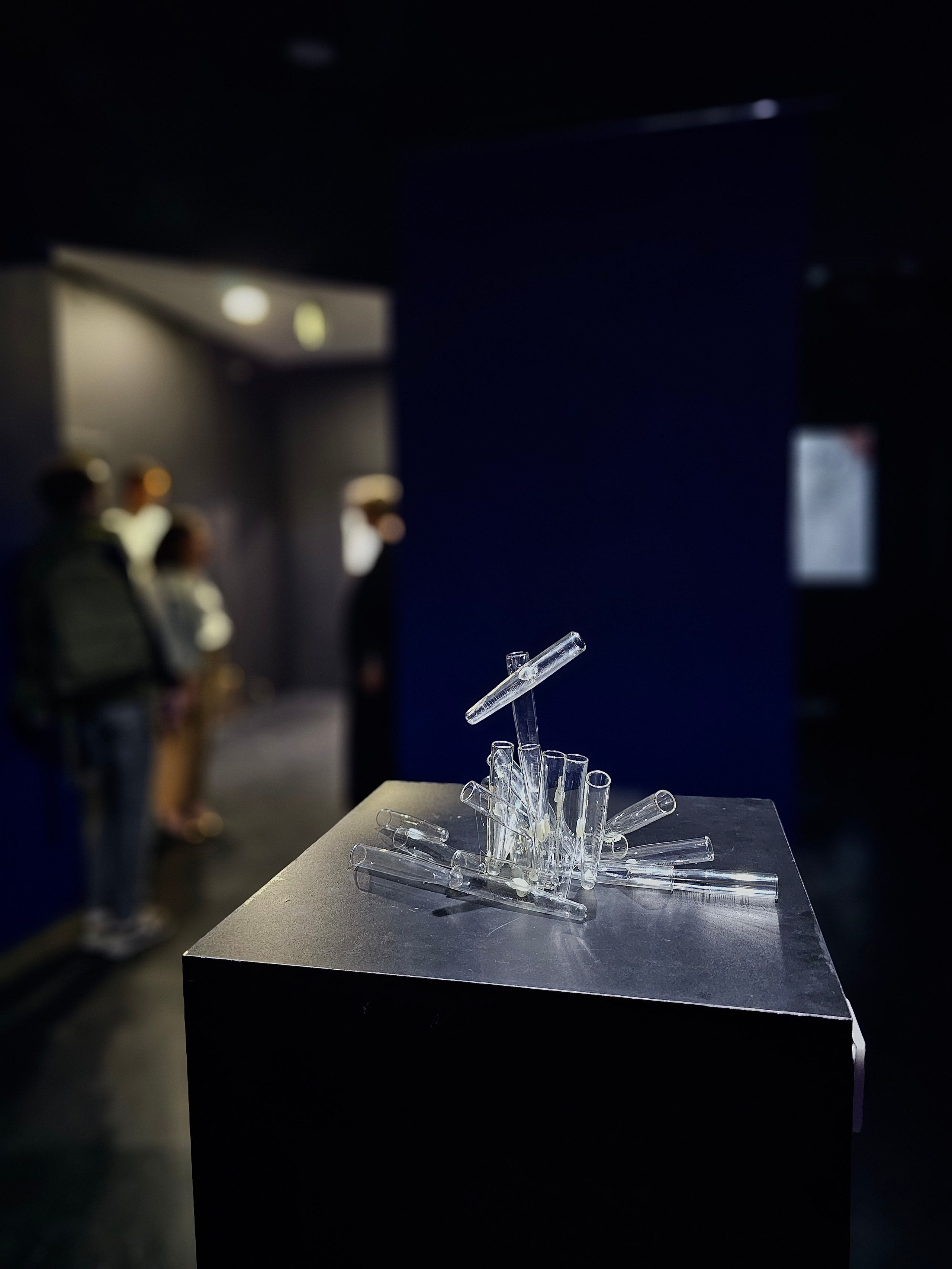 «Трактат о Корчевателе». Современная художница Елена Алексеева (Alpha_Vita)