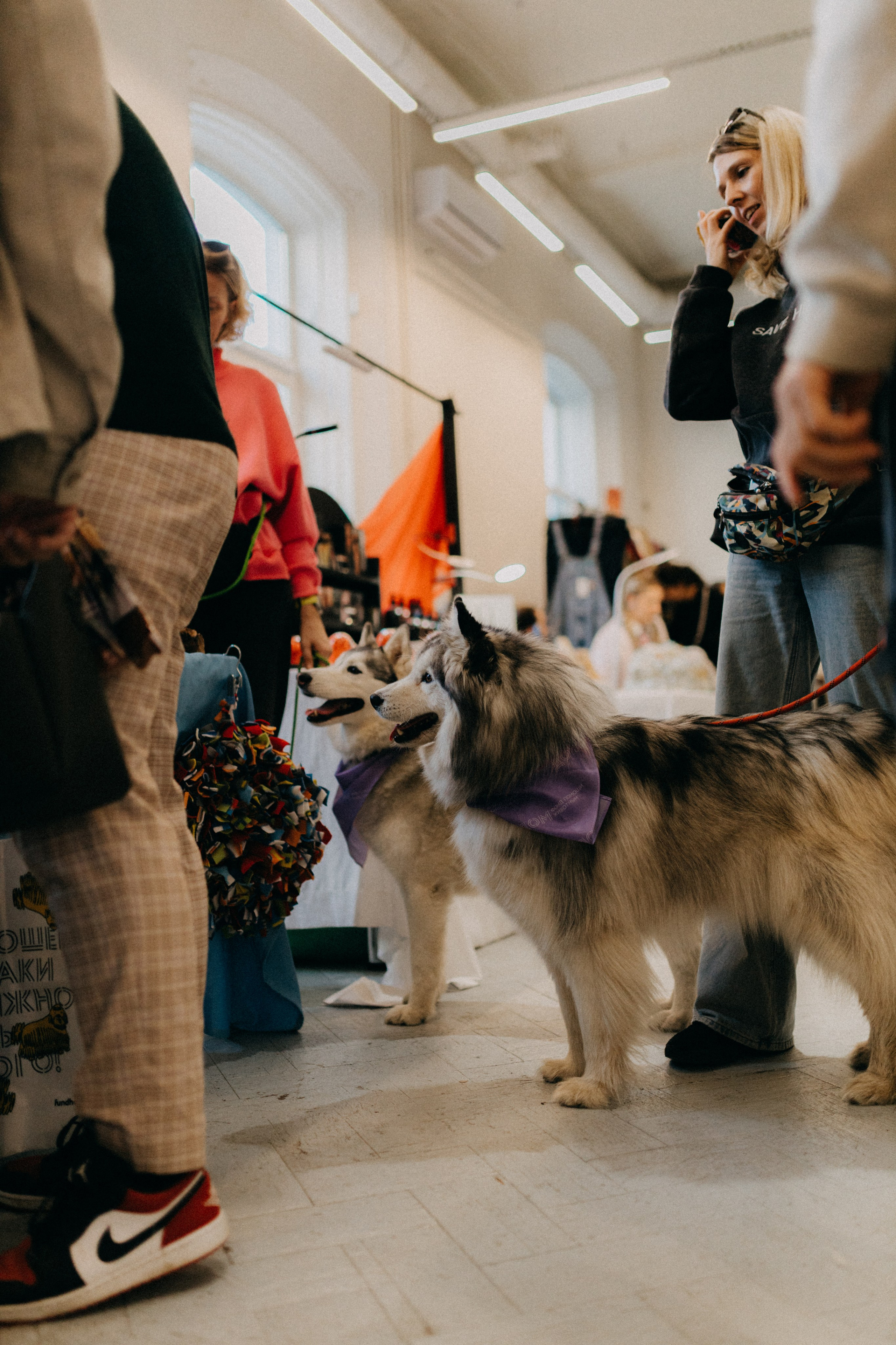 Маркет КИТЧ. Фотограф НОГИНСК, Москва, Анастасия Белая