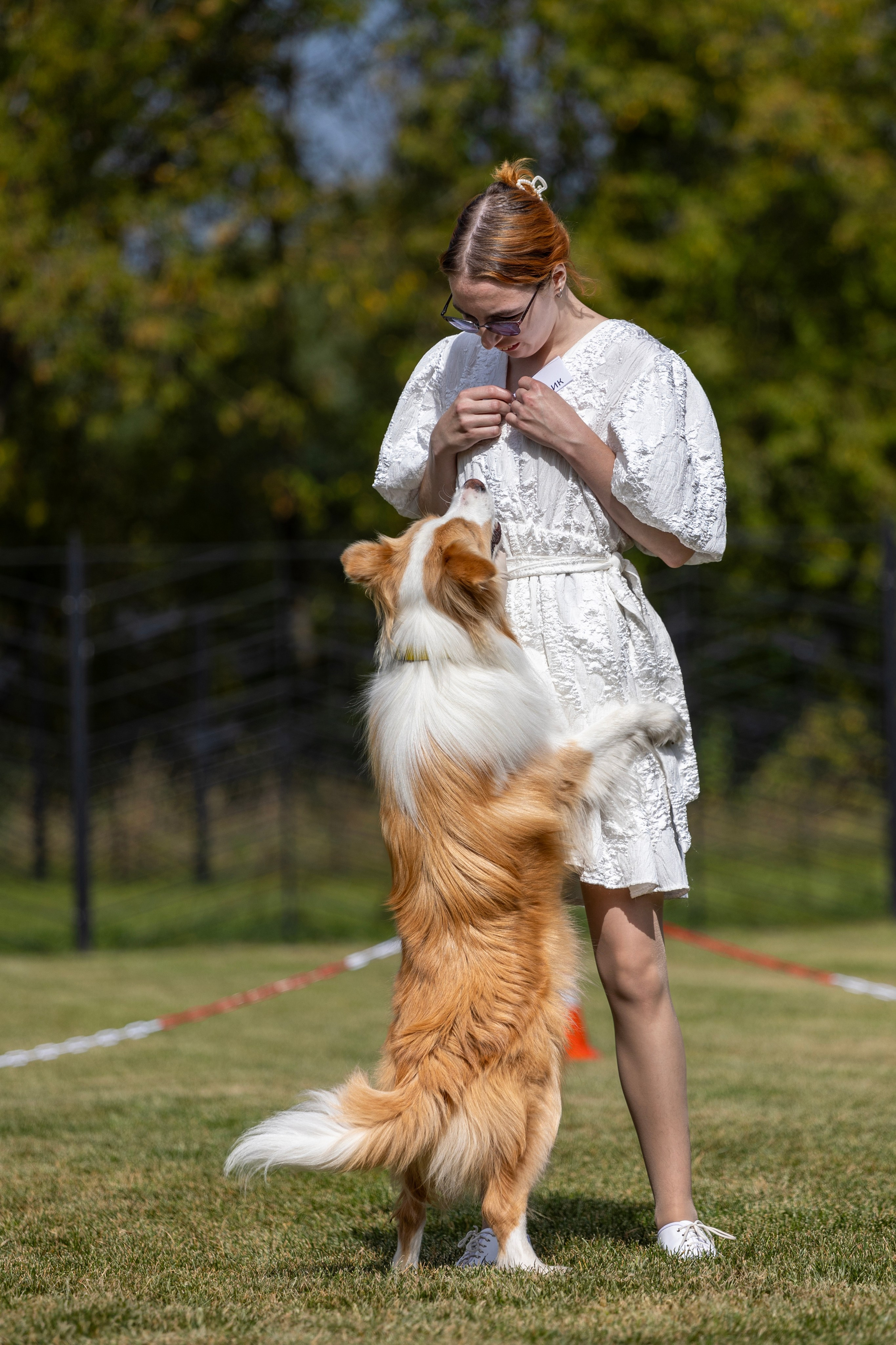 Съемка мероприятия: конкурс по танцам с собаками. Фотография. Юрий Савин