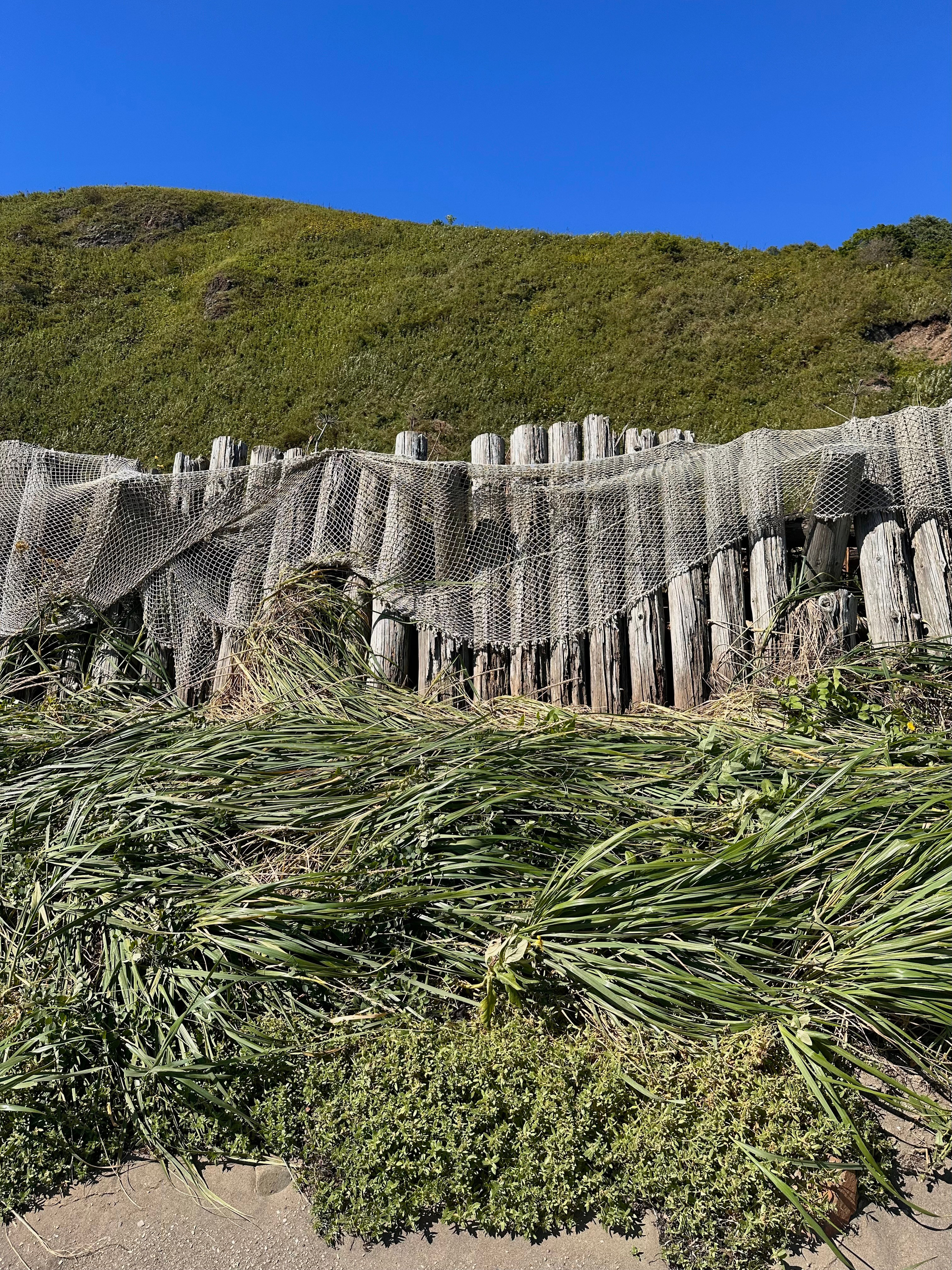 EXHIBITION. Репортажный и интерьерный фотограф, фотохудожник