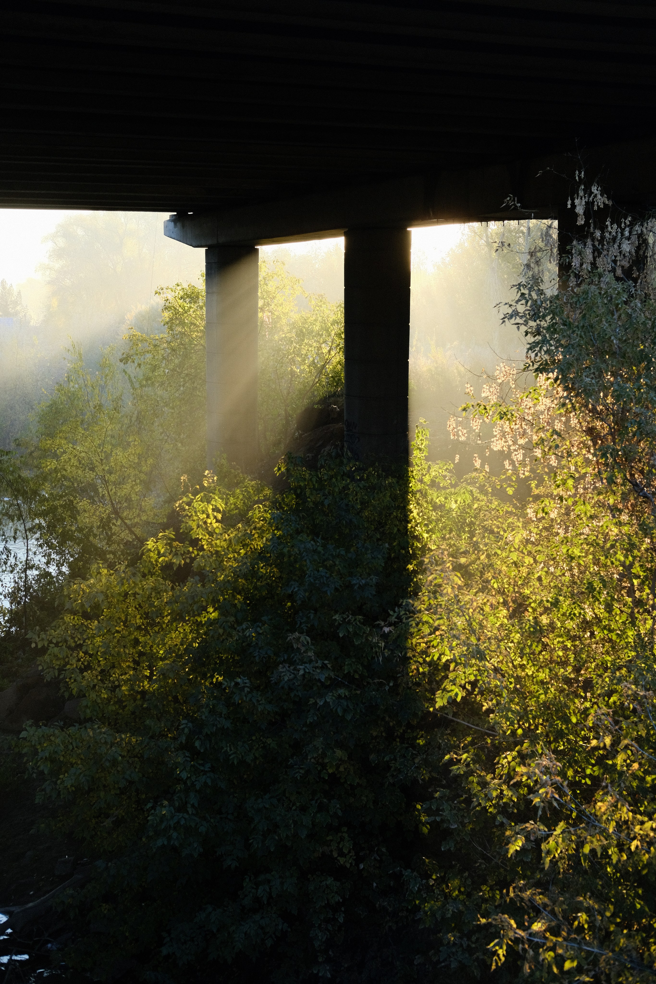 Наблюдения. Семейный фотограф в Новосибирске Артём Кузнецов