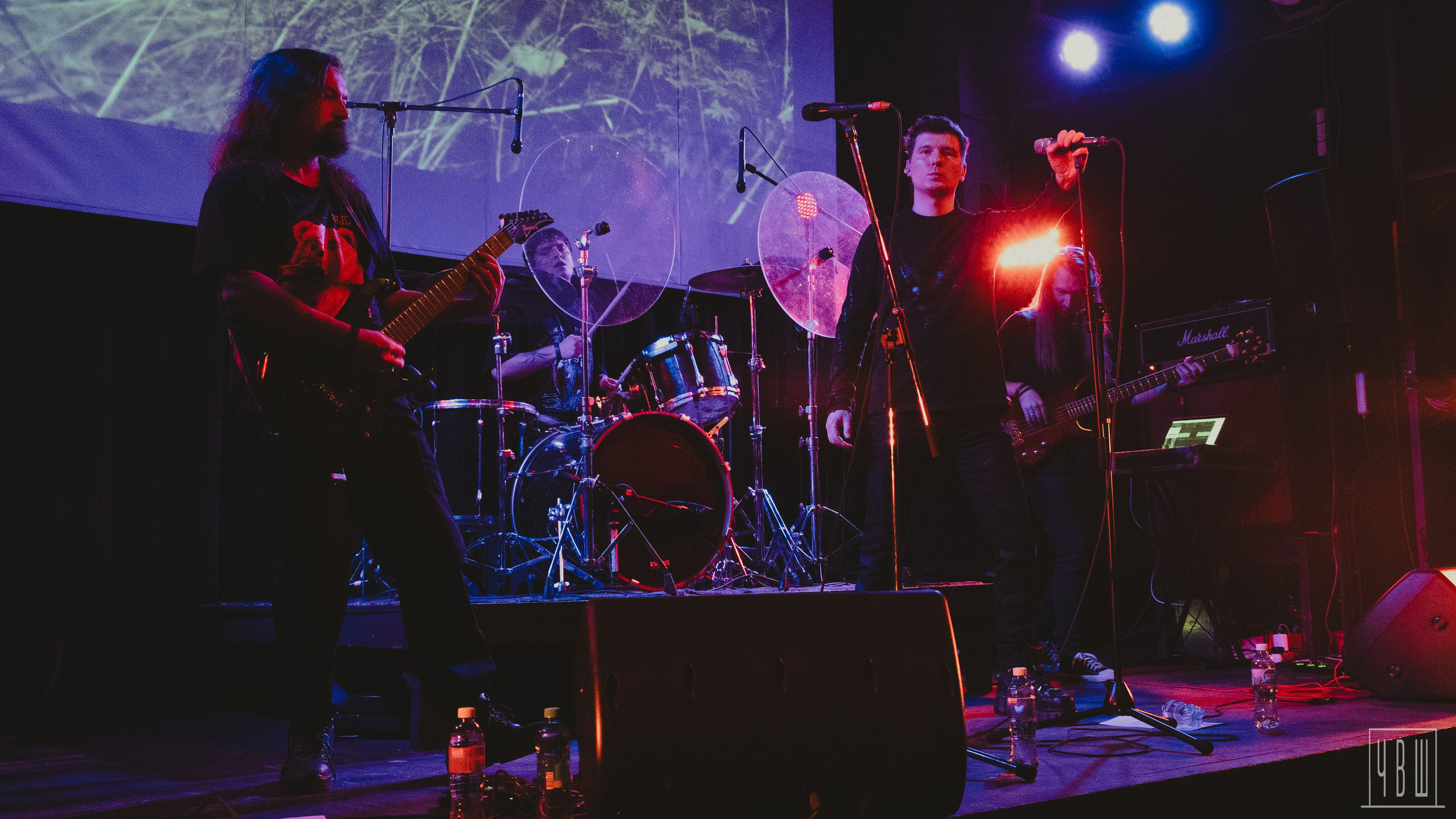 ШардаМ, 04.11.2025, Ласточка. Человек в Шляпе