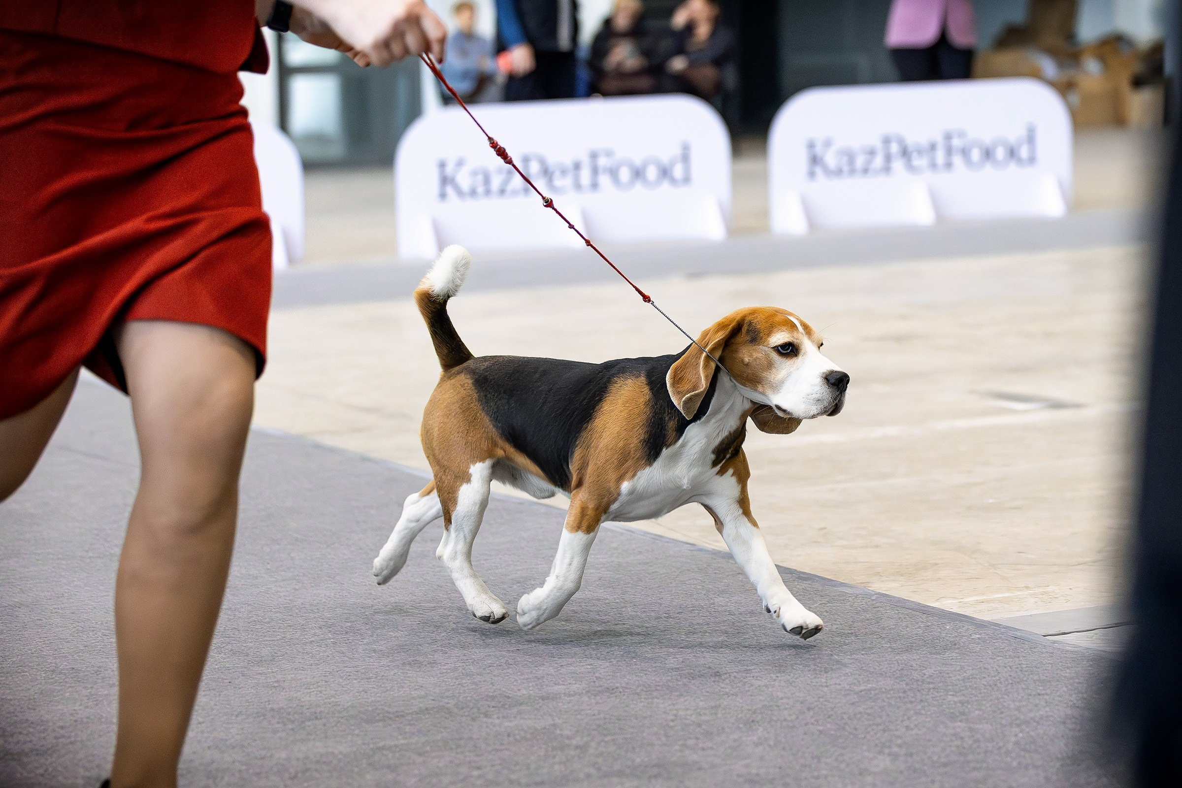 3–4 мая 2025, Казахстан, г. Астана. Htykk_photo