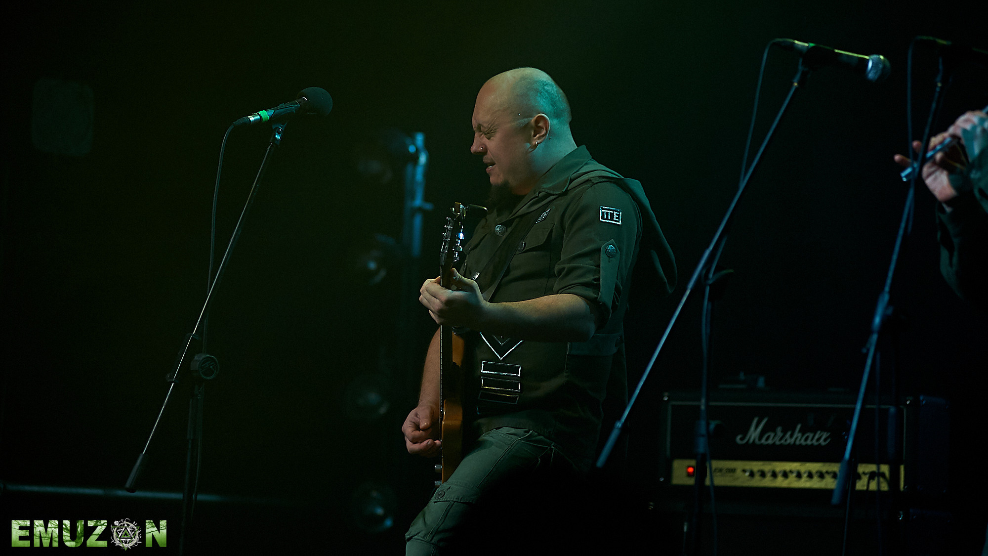 Тролль гнет ель. Фотографии отовсюду и обо всем