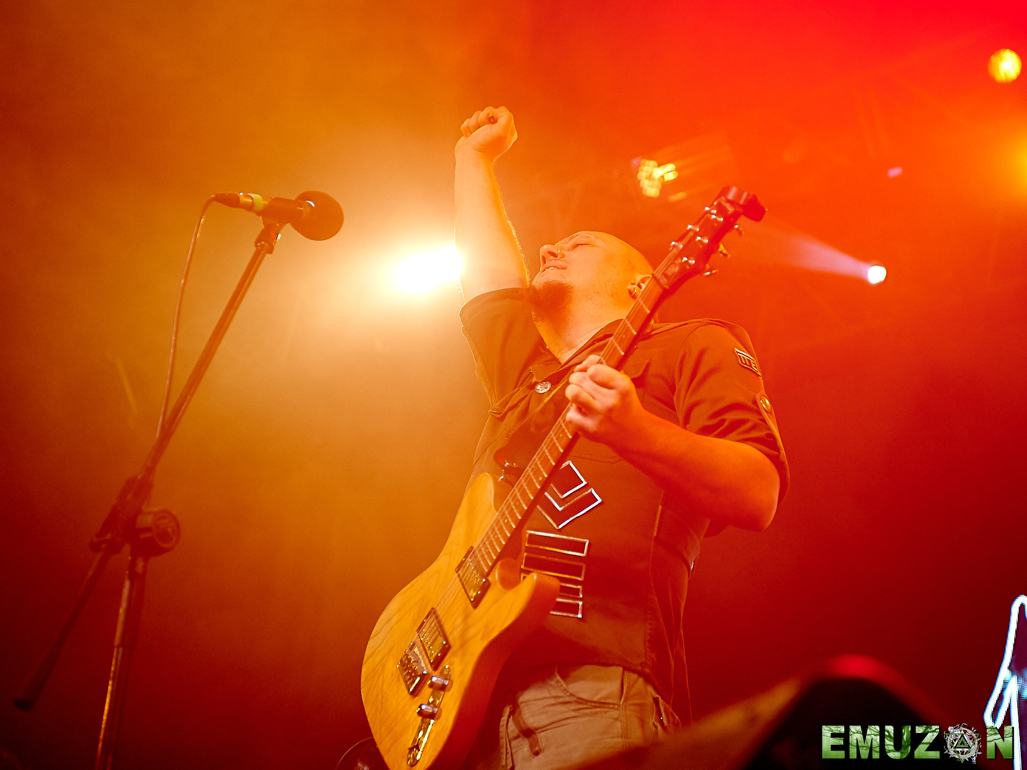 Тролль гнет ель. Фотографии отовсюду и обо всем