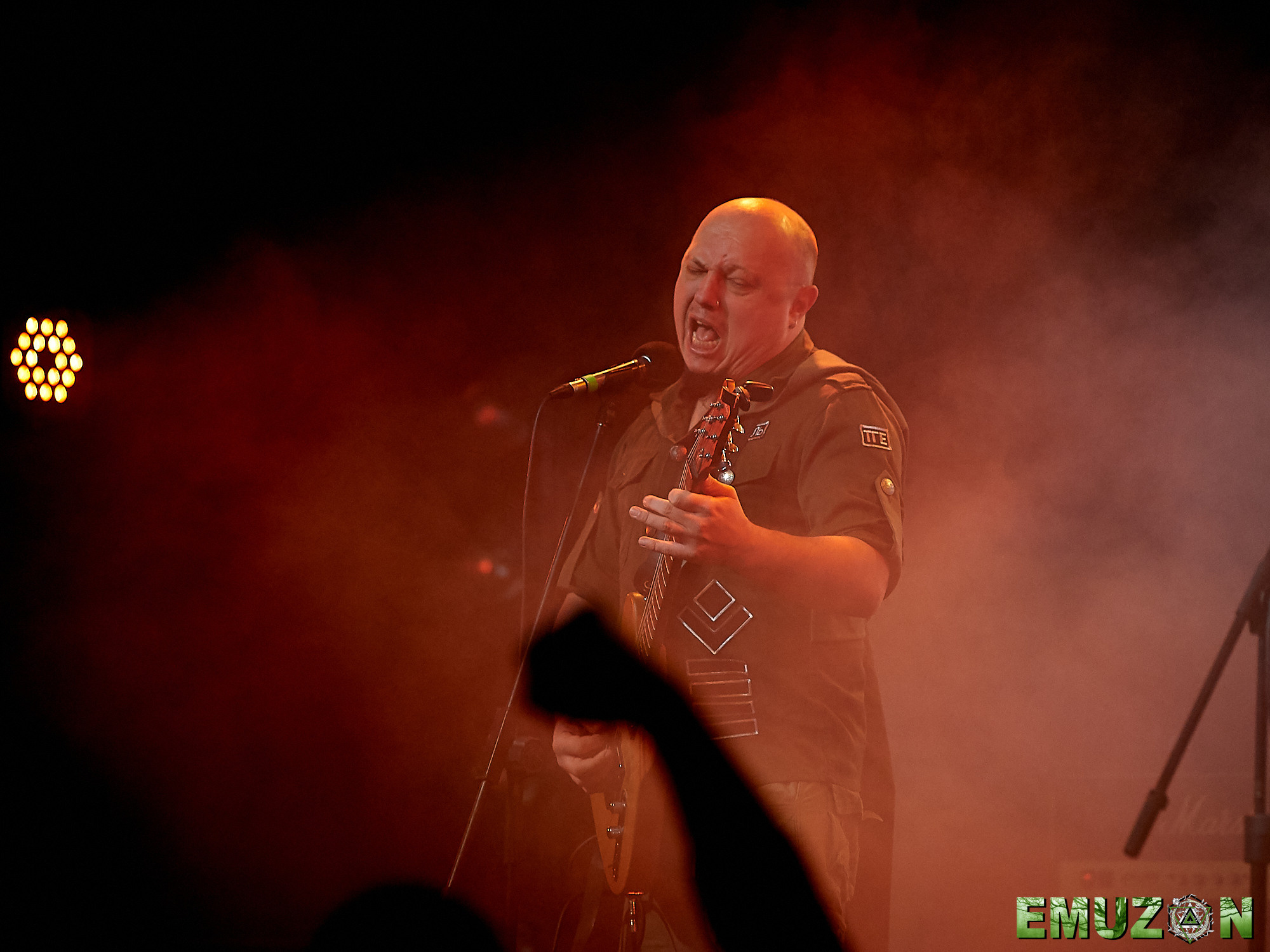 Тролль гнет ель. Фотографии отовсюду и обо всем