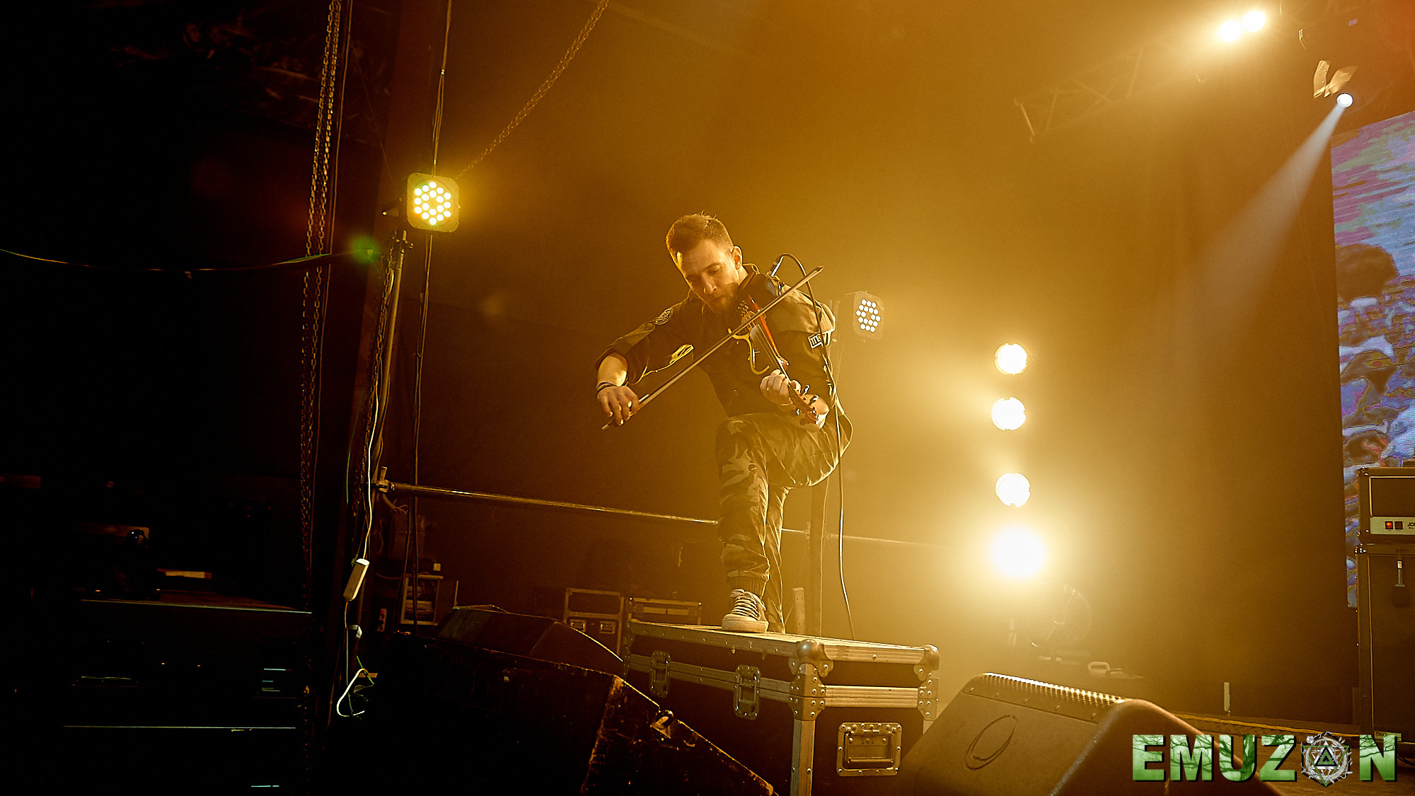 Тролль гнет ель. Фотографии отовсюду и обо всем