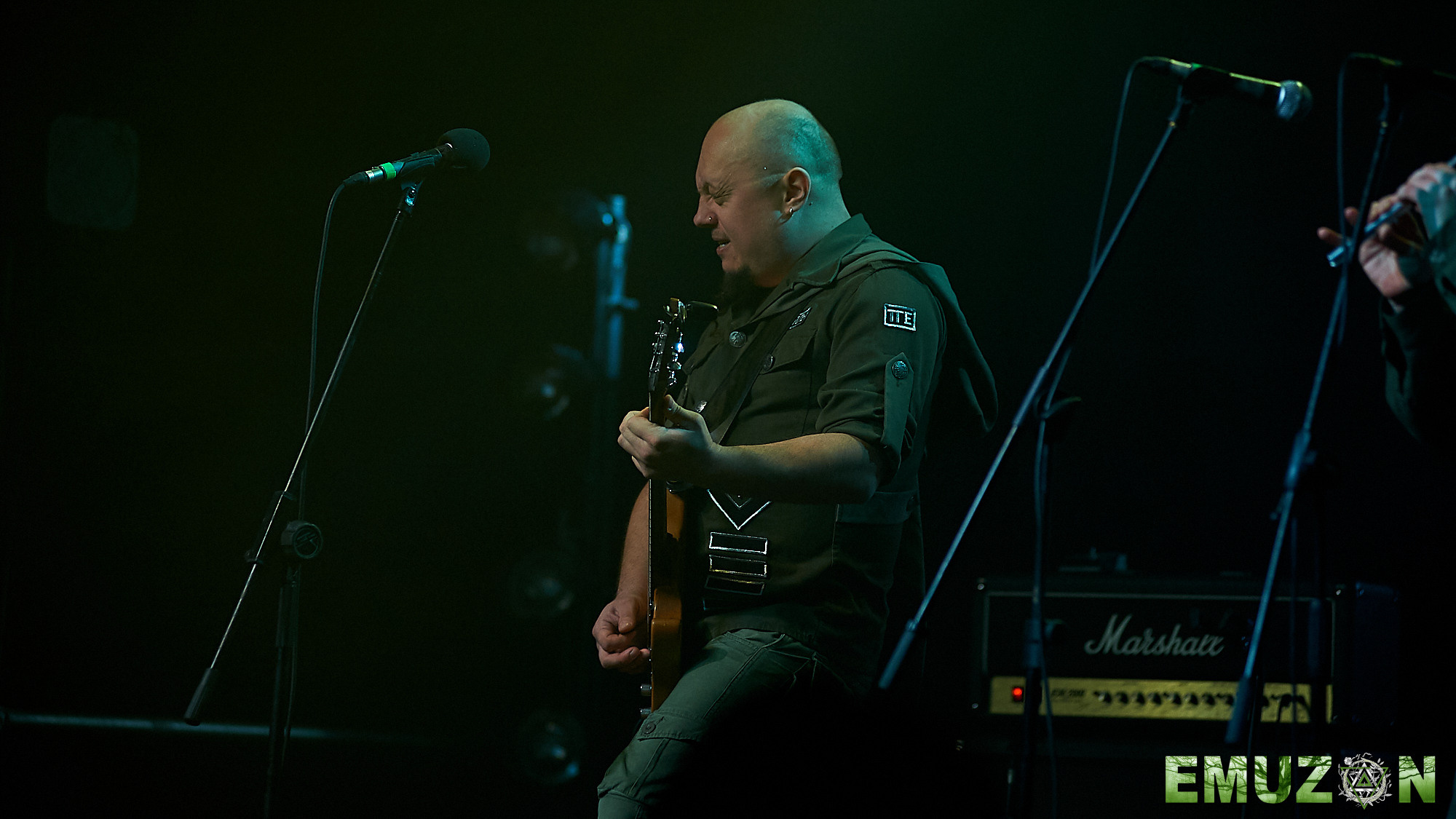 Тролль гнет ель. Фотографии отовсюду и обо всем