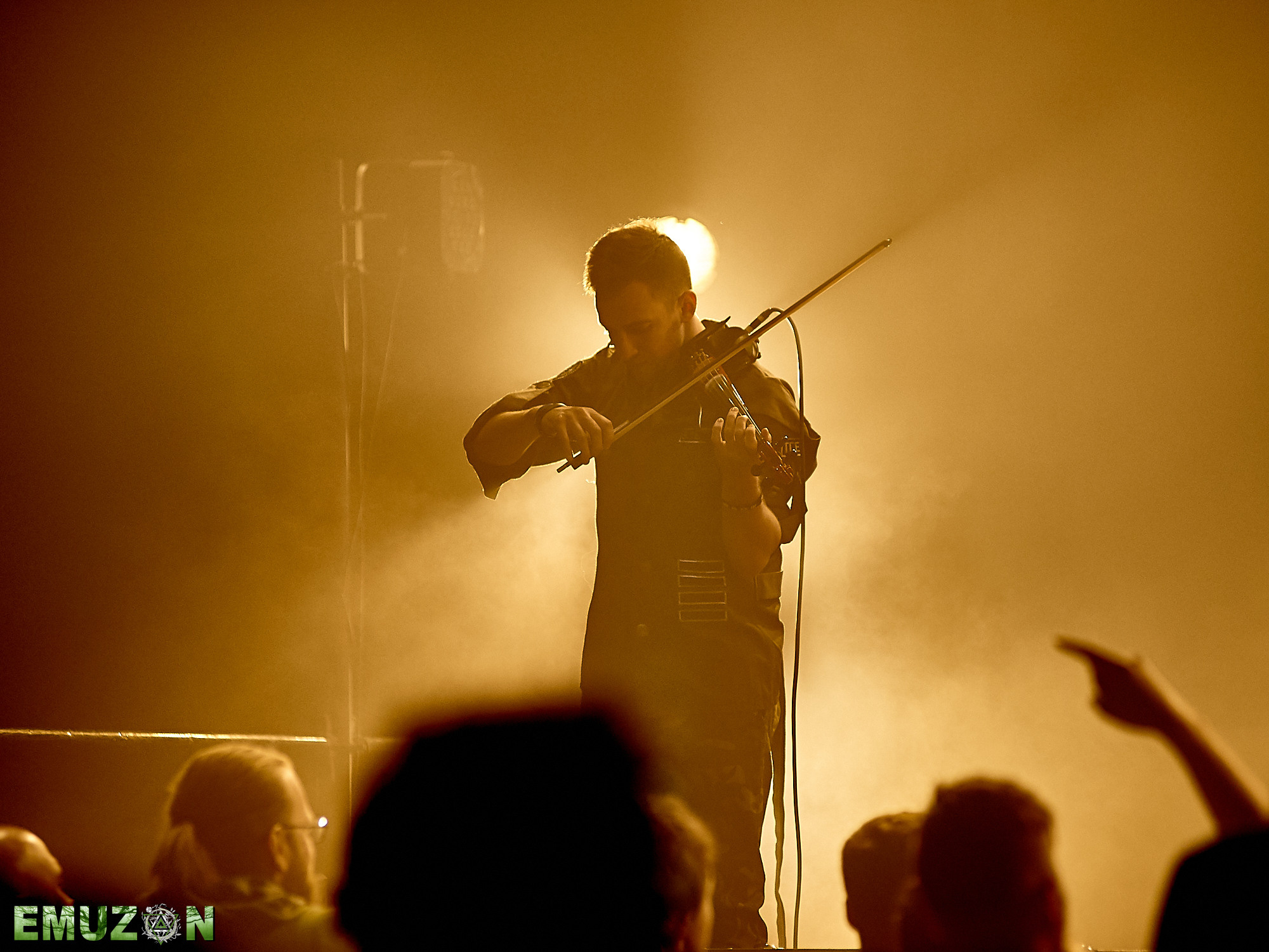 Тролль гнет ель. Фотографии отовсюду и обо всем