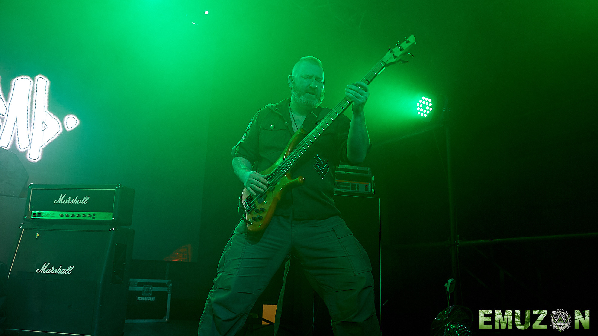 Тролль гнет ель. Фотографии отовсюду и обо всем