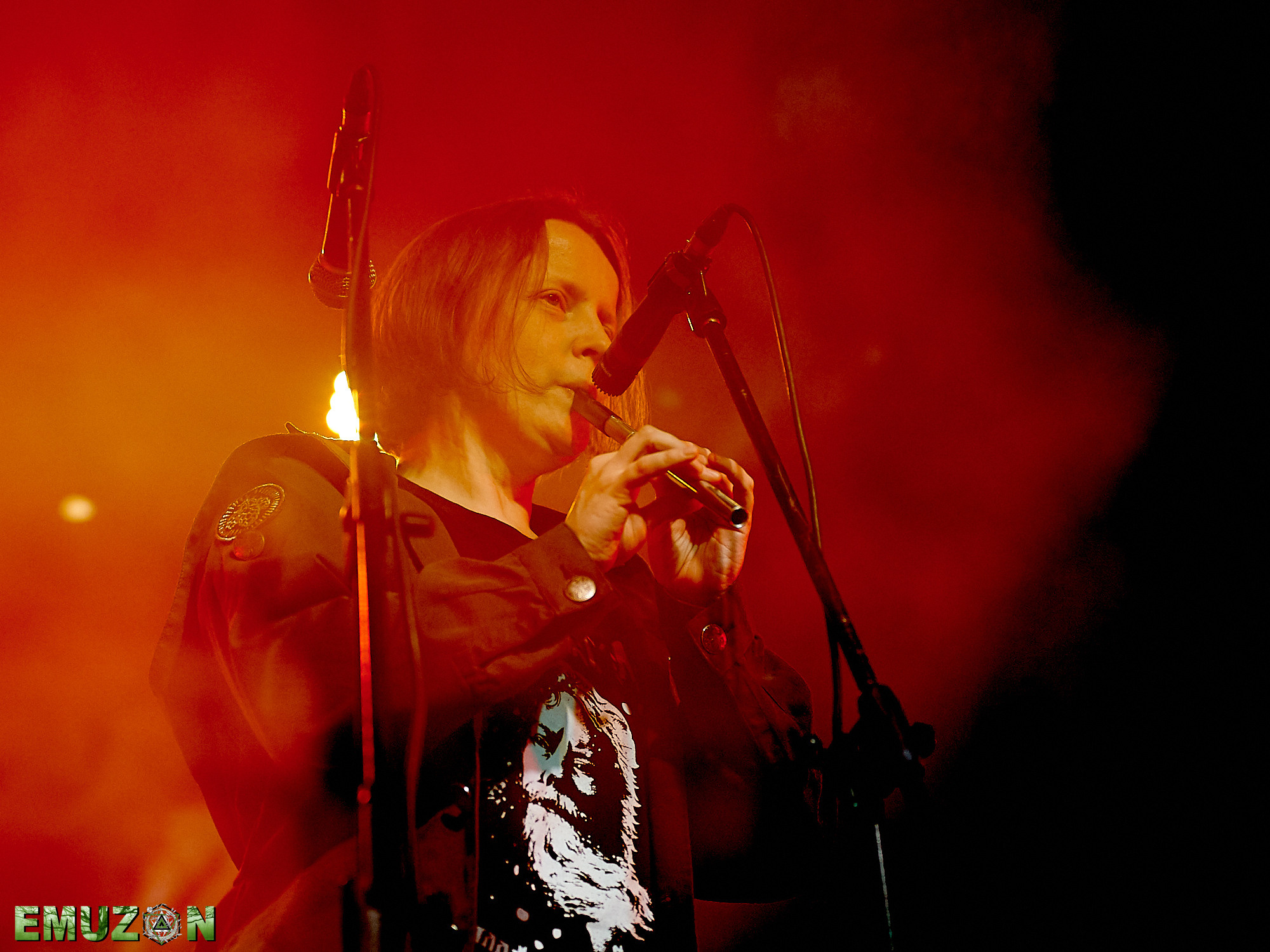 Тролль гнет ель. Фотографии отовсюду и обо всем