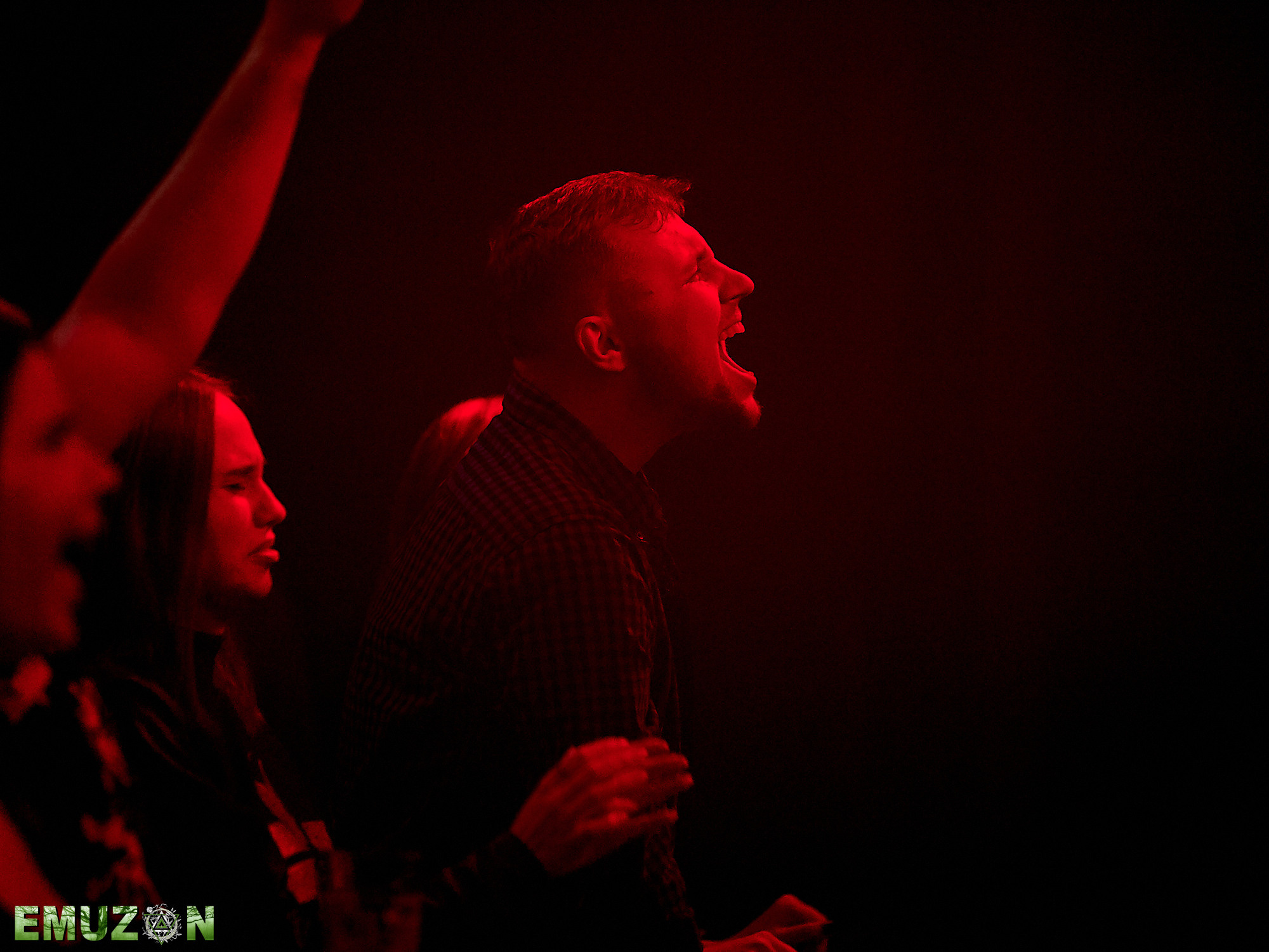 Тролль гнет ель. Фотографии отовсюду и обо всем