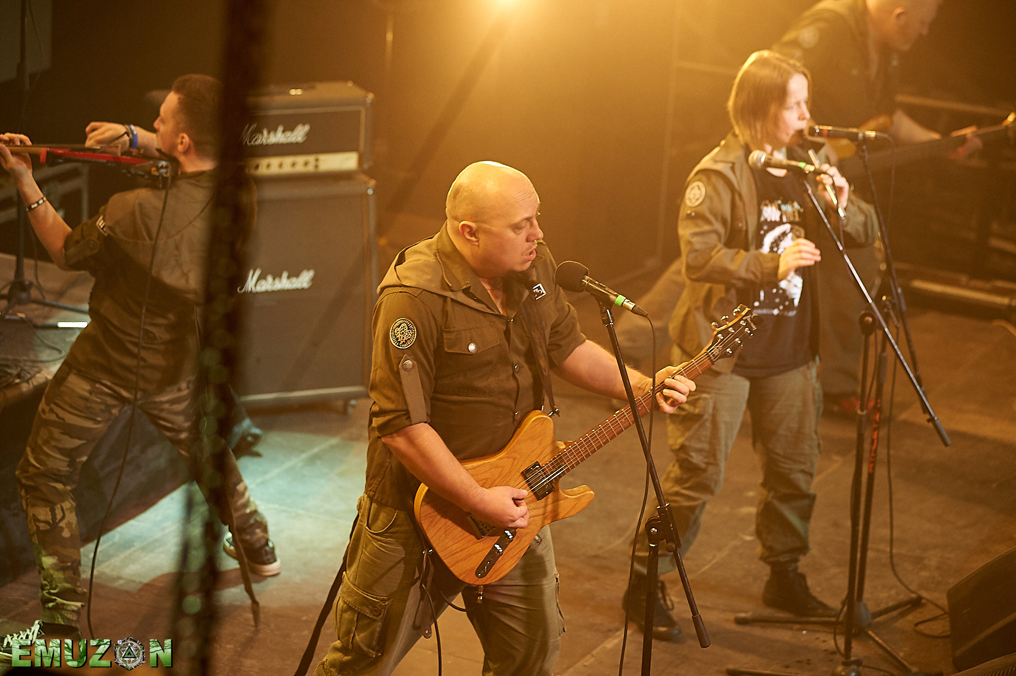 Тролль гнет ель. Фотографии отовсюду и обо всем