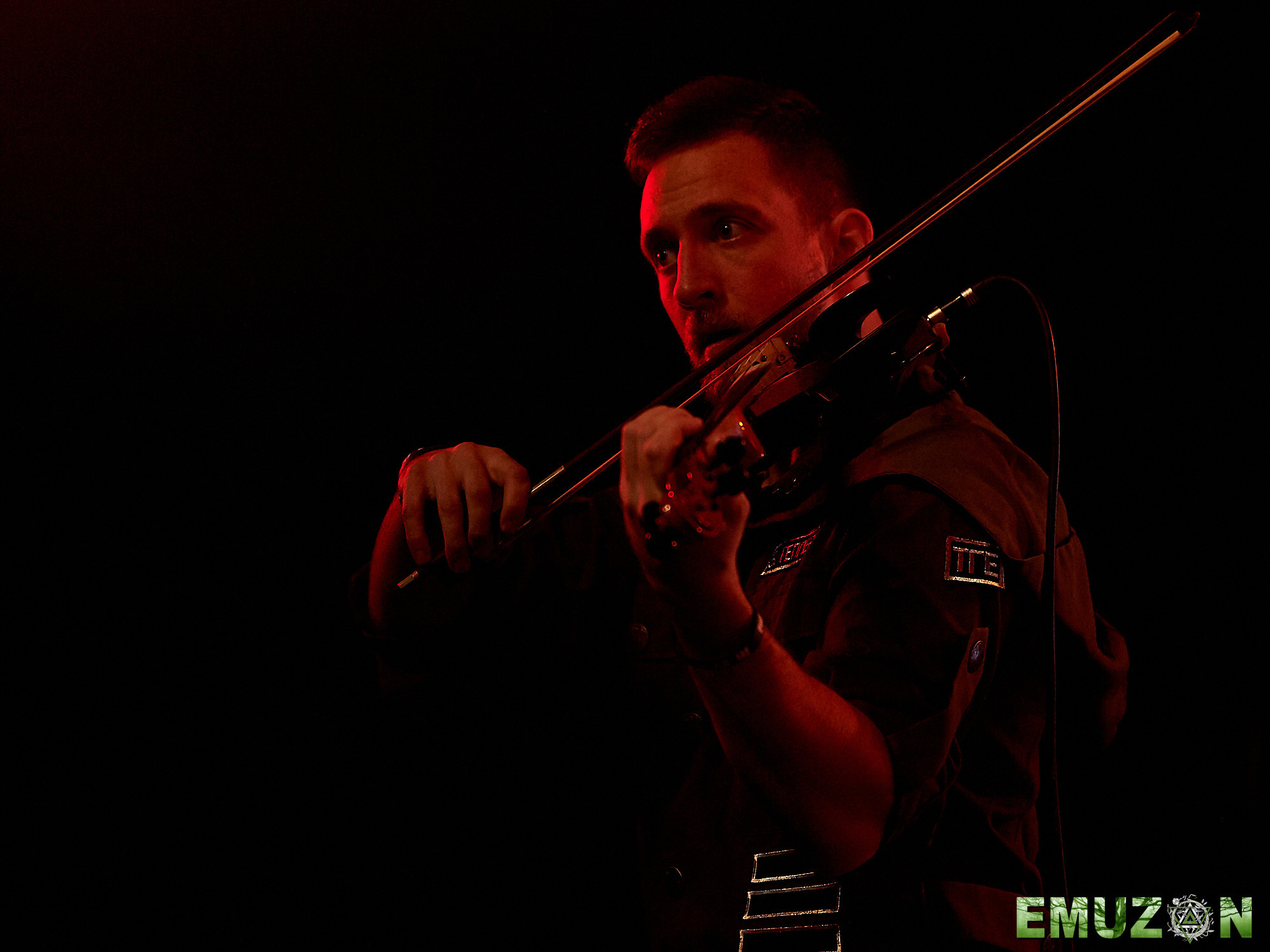 Тролль гнет ель. Фотографии отовсюду и обо всем