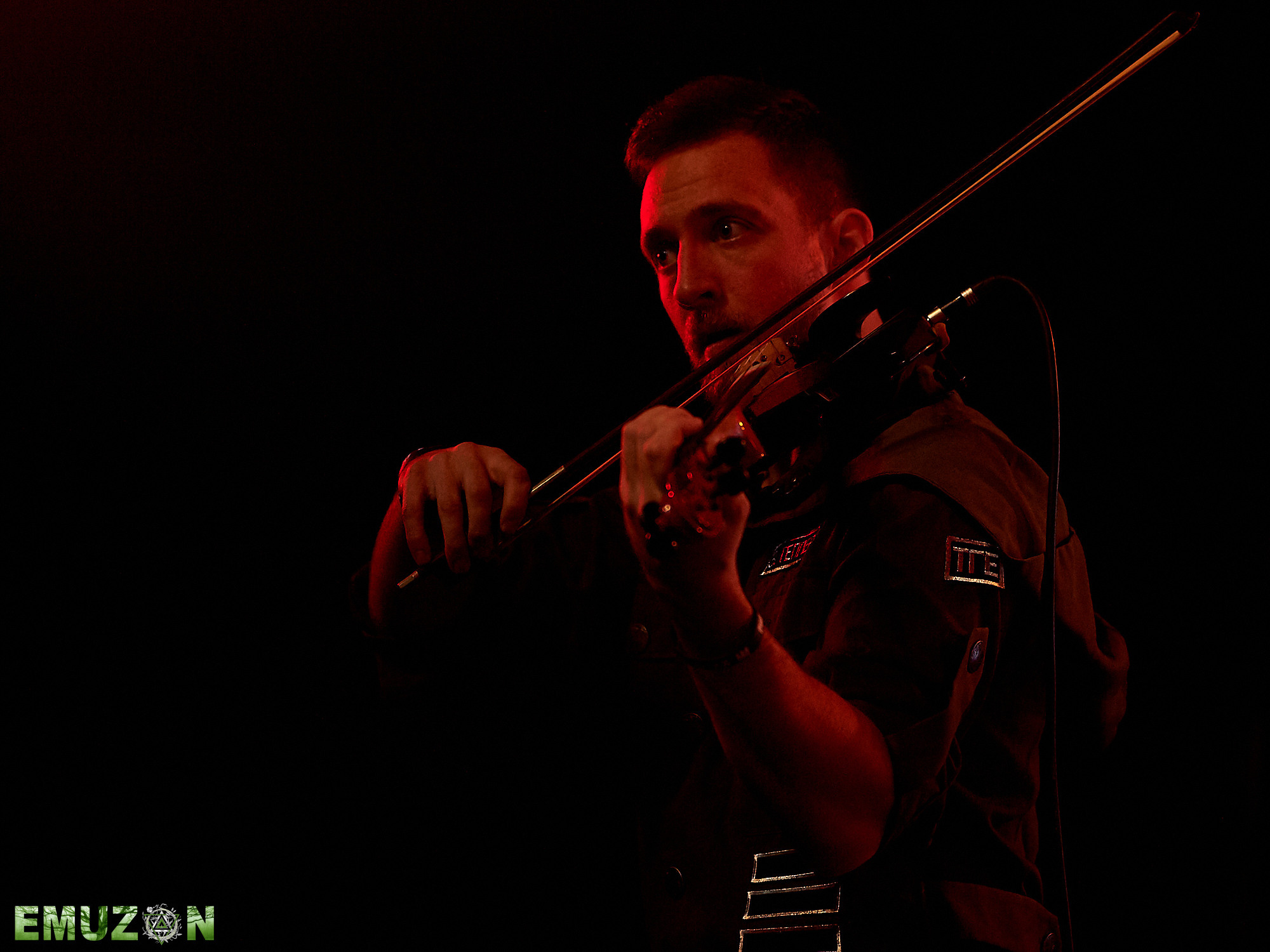 Тролль гнет ель. Фотографии отовсюду и обо всем