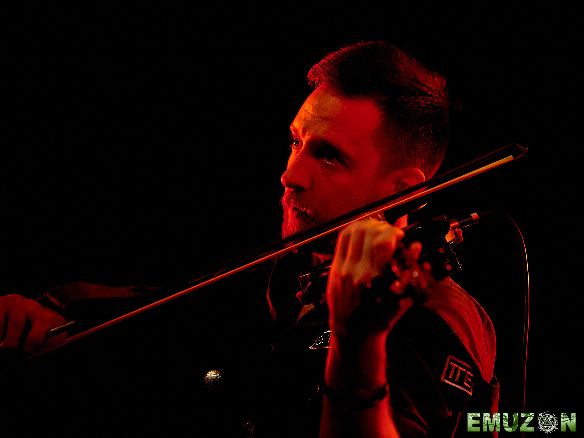 Тролль гнет ель. Фотографии отовсюду и обо всем